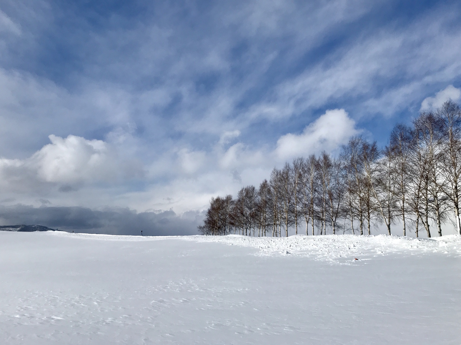 北海道自助遊攻略