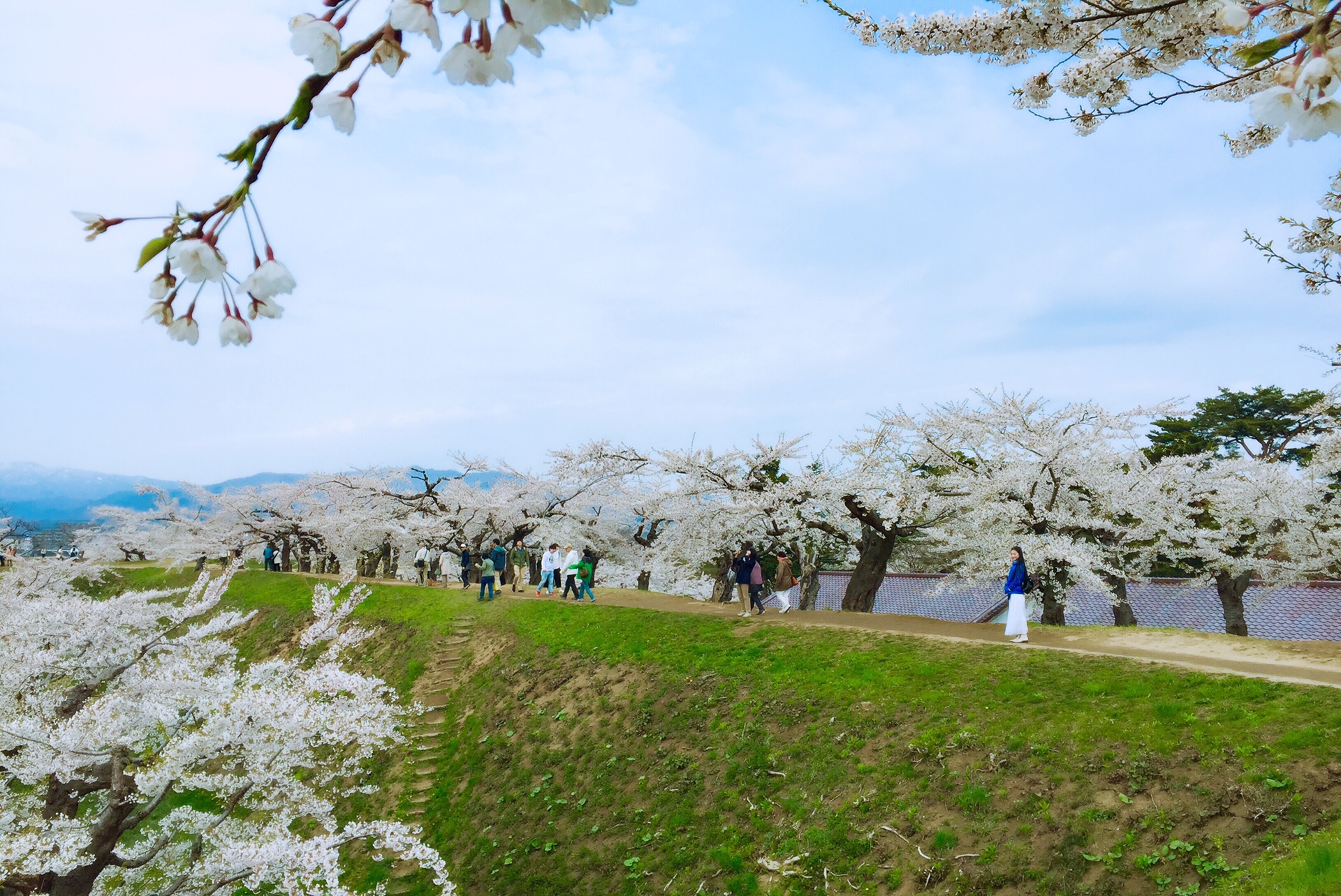 北海道自助遊攻略