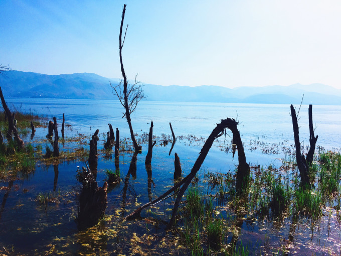 【彩云之南】适合一个人的精华穷游攻略