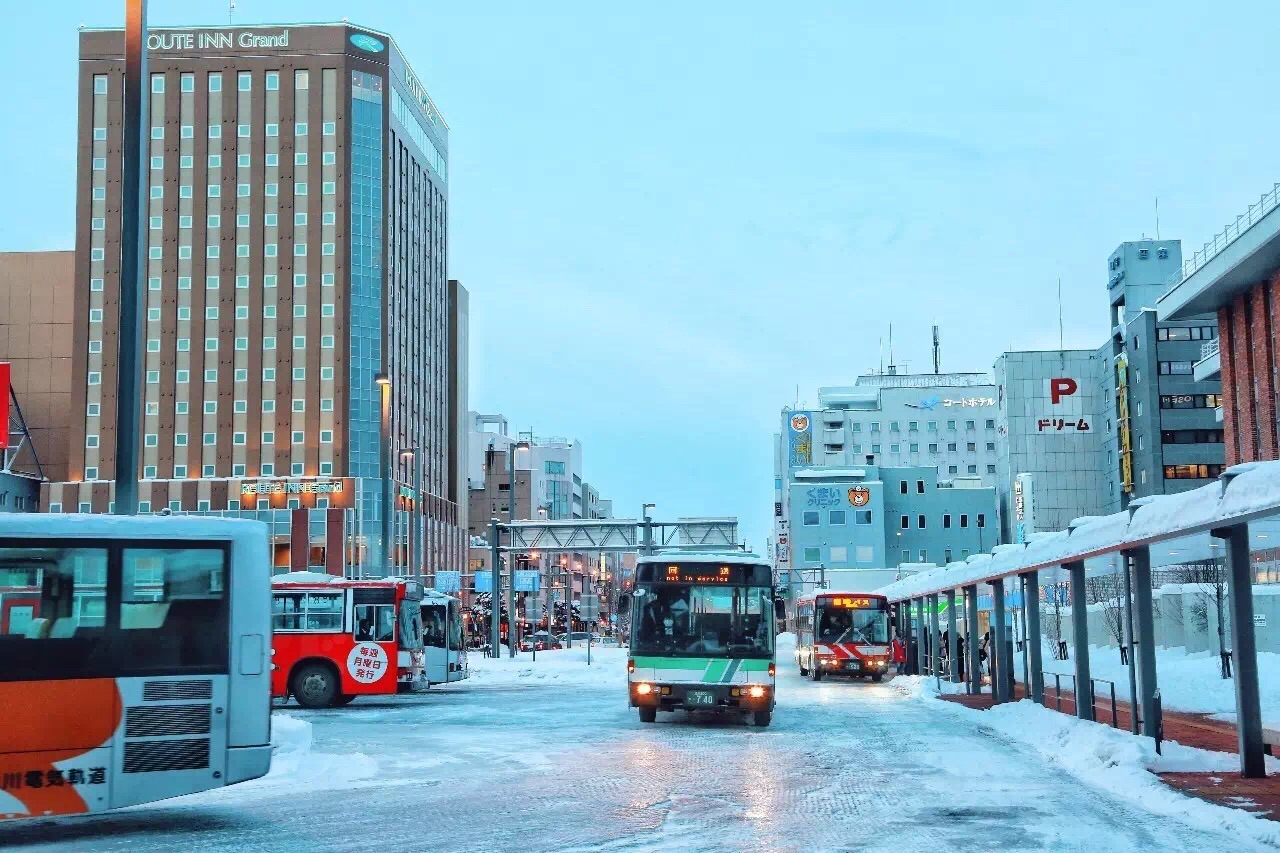 北海道自助遊攻略