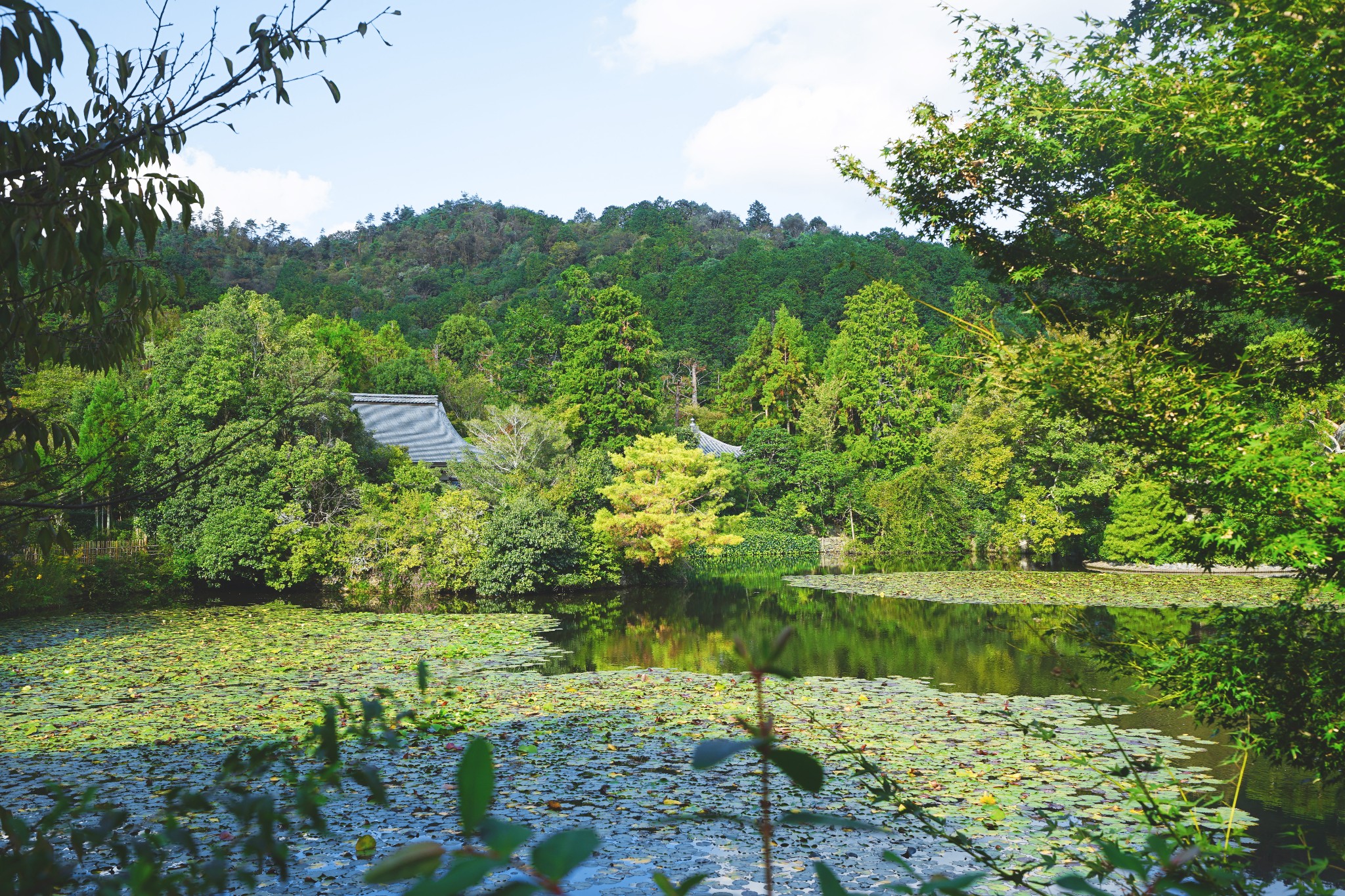 京都自助遊攻略