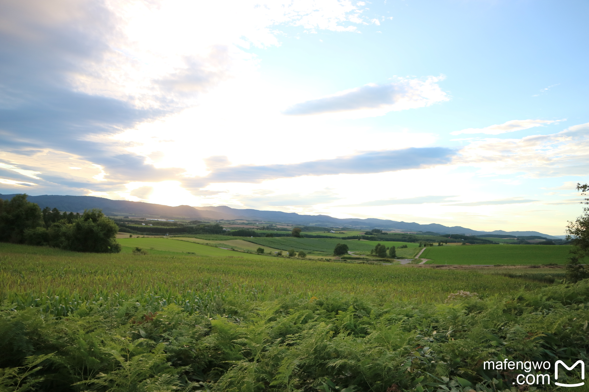 北海道自助遊攻略