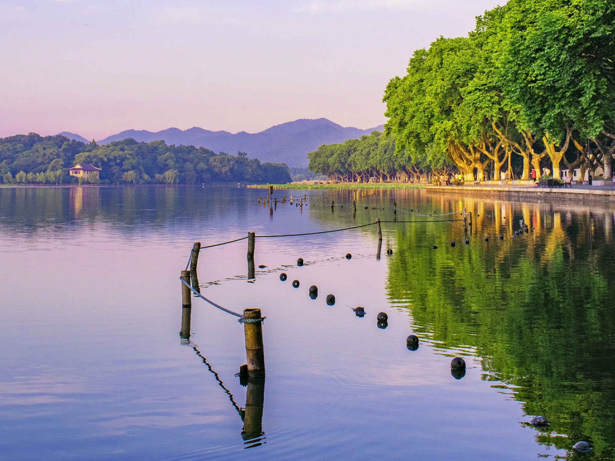 西湖未能抛得杭州去一半勾留是此湖