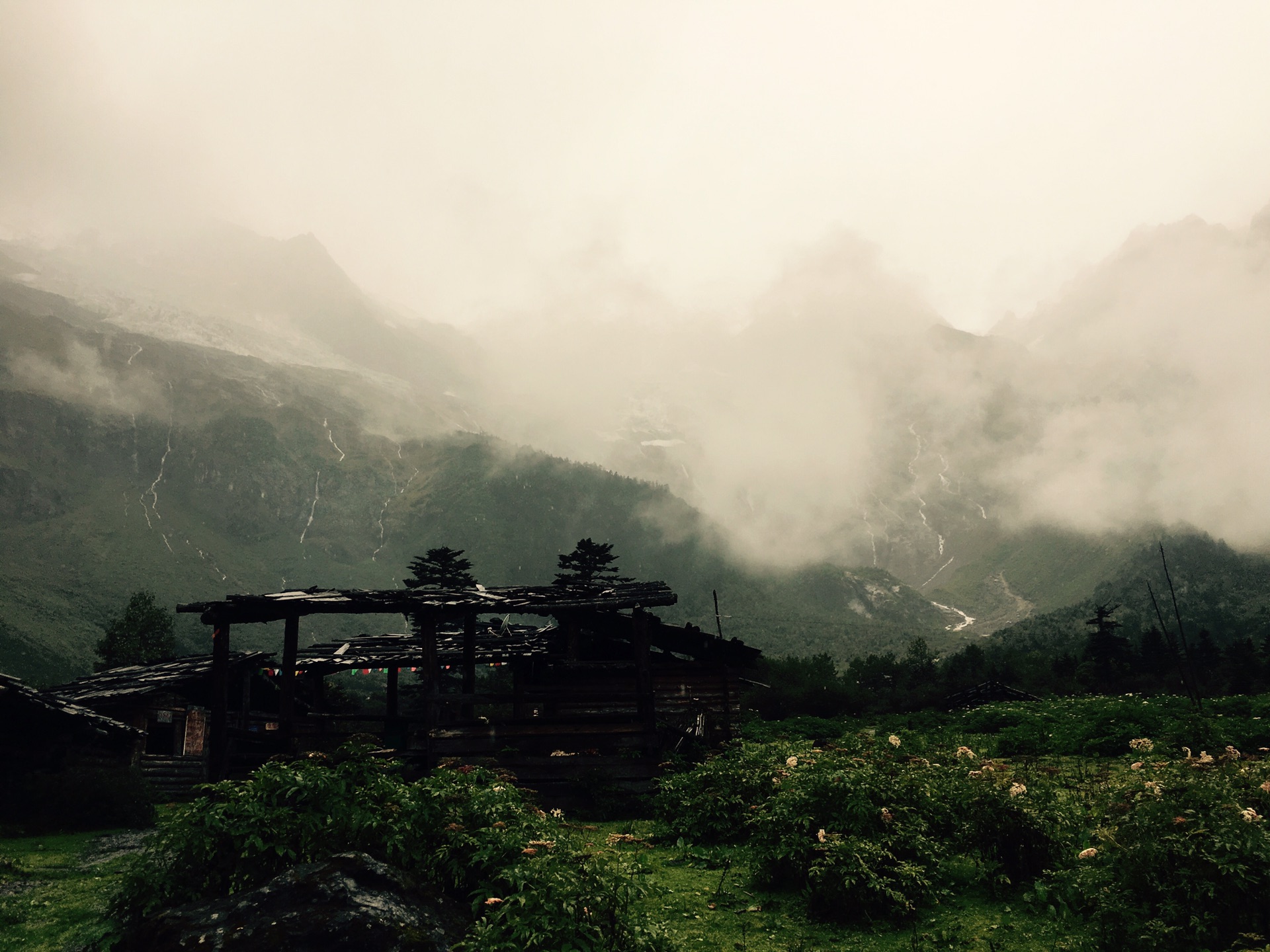 雨崩自助遊攻略