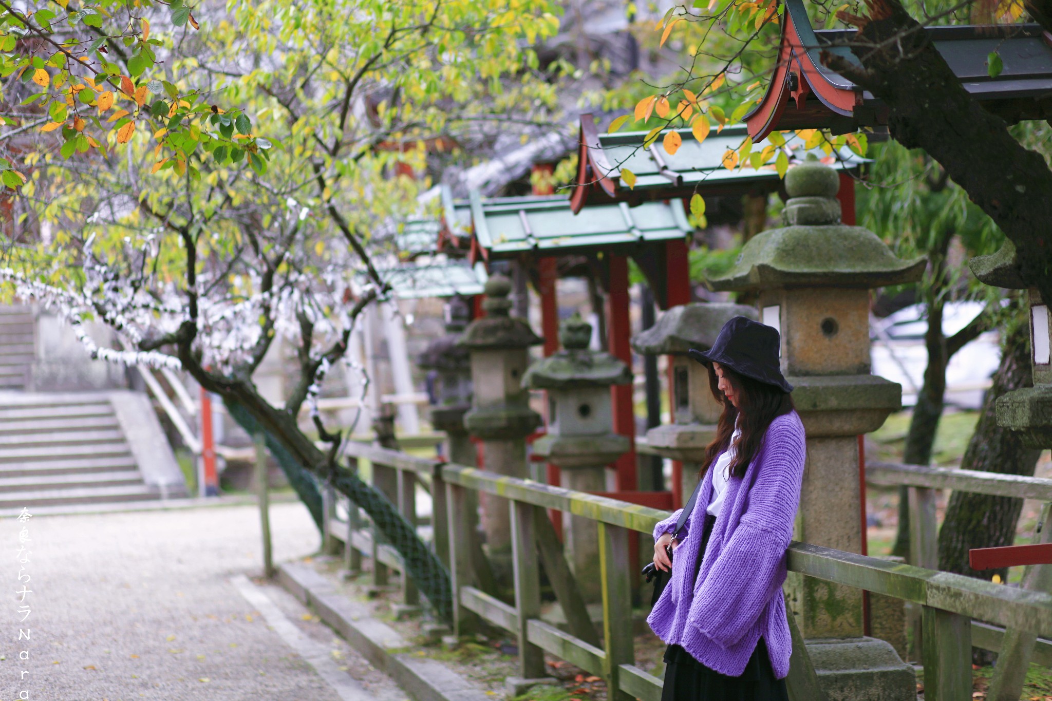 京都自助遊攻略