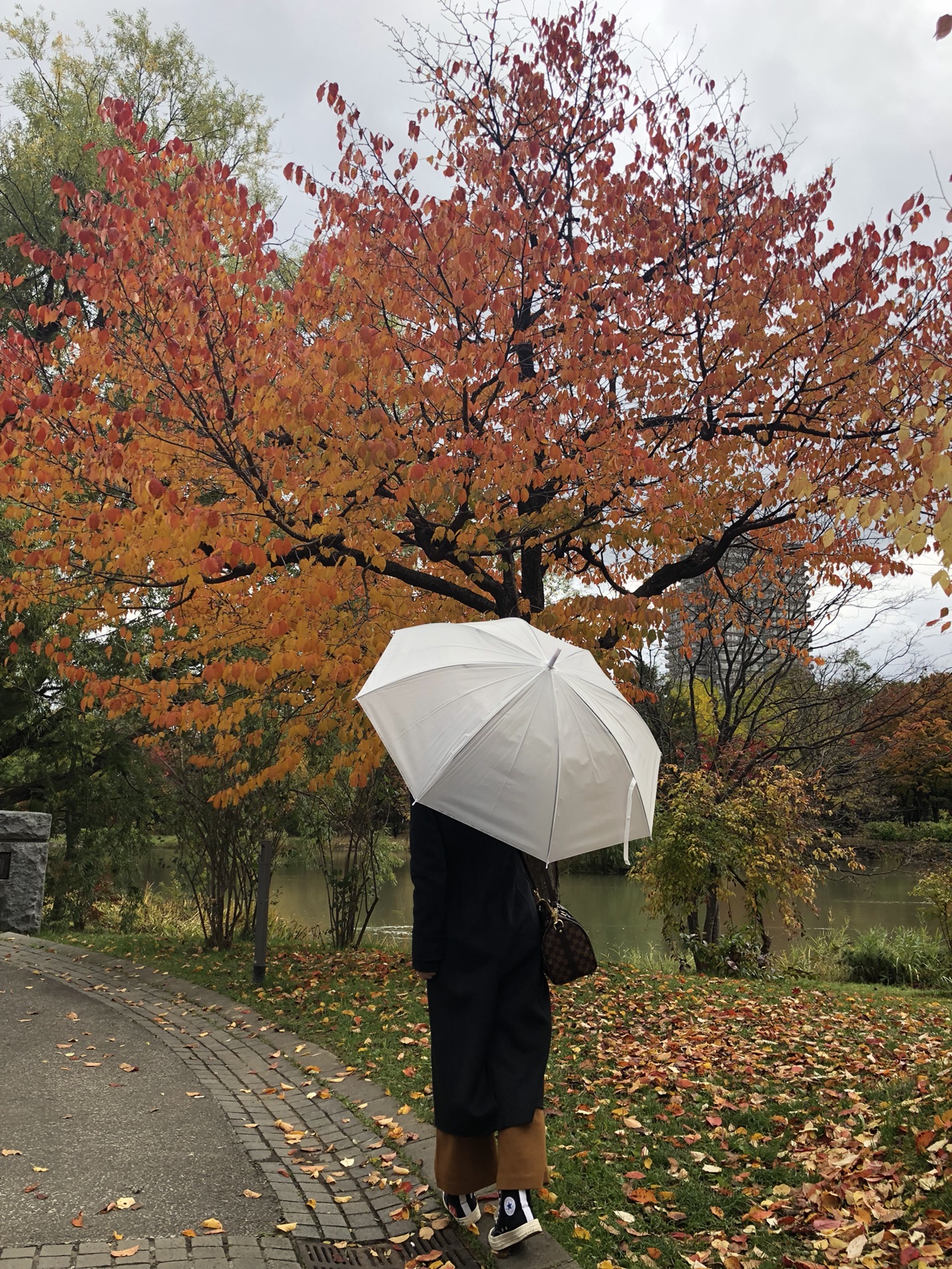 札幌自助遊攻略