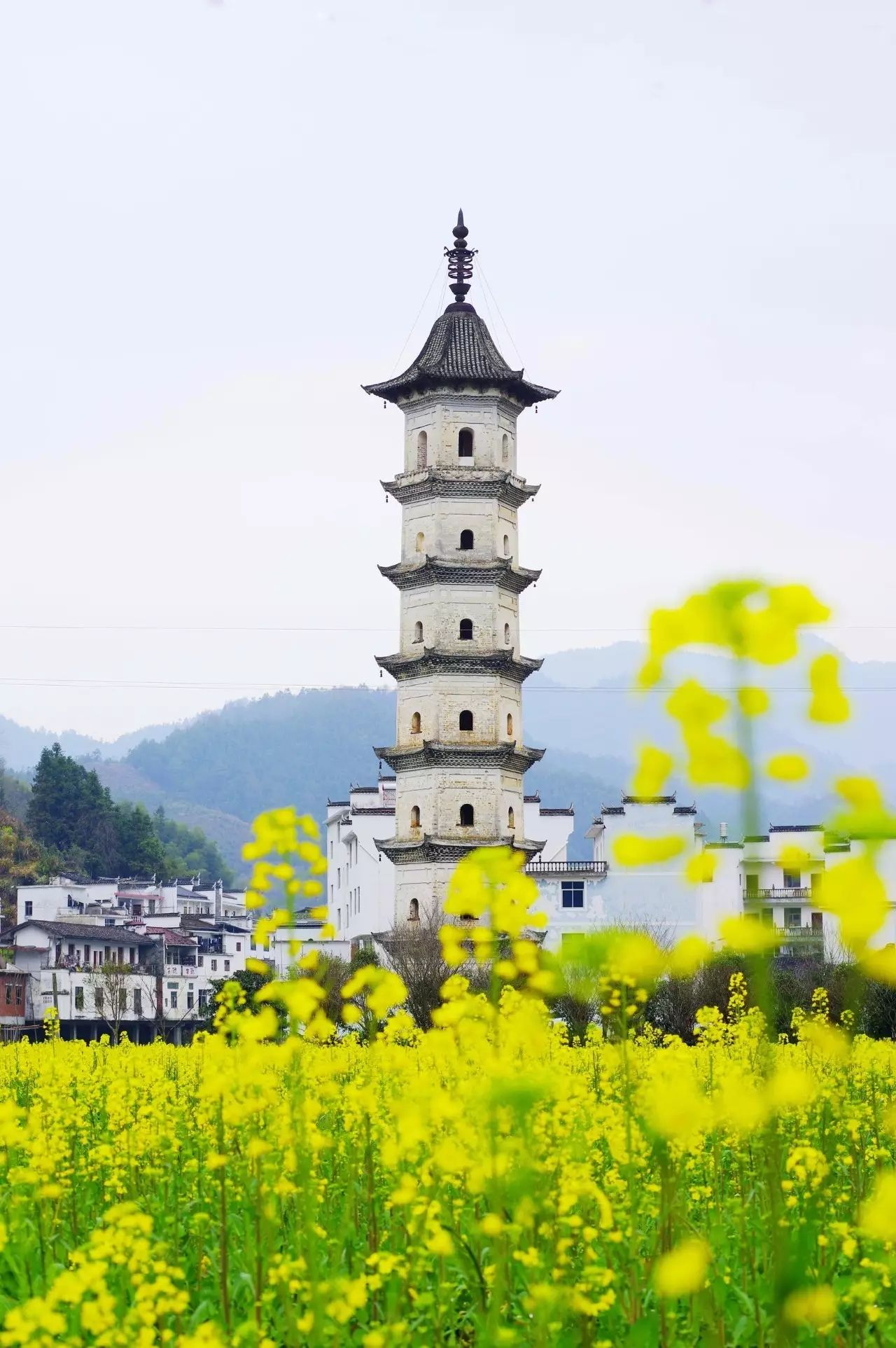 婺源| 唯美婺源建筑类型游览指南