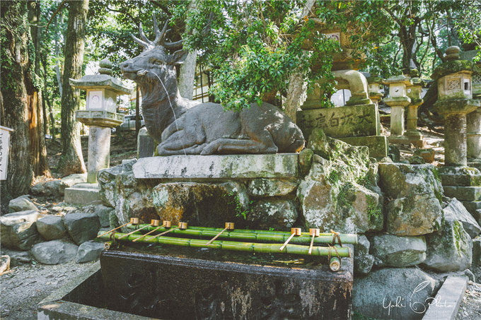 京都自助遊攻略