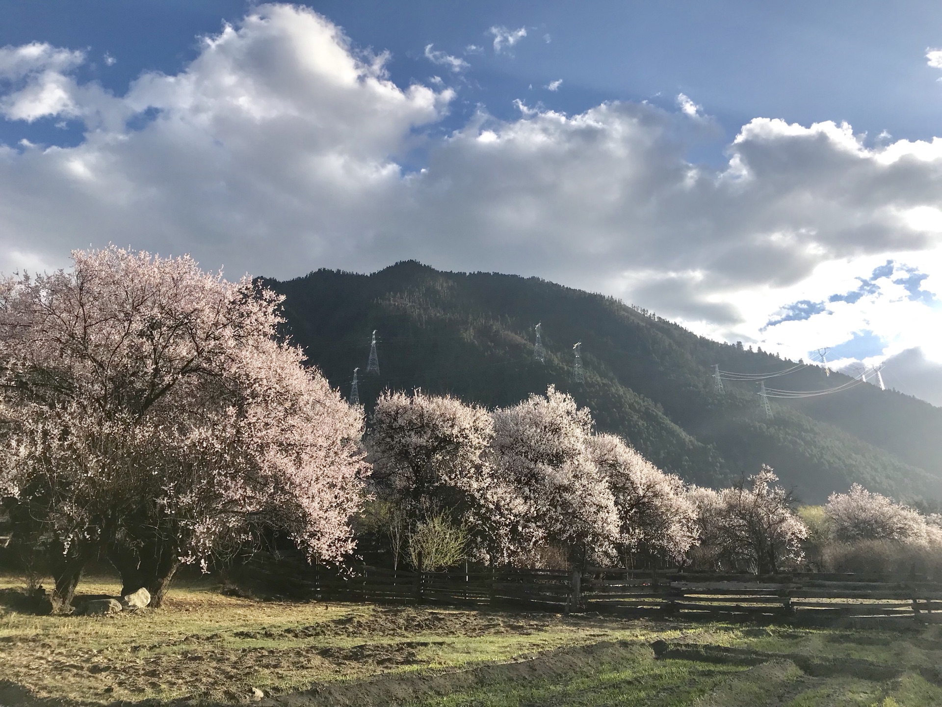 西藏自治区林芝市朗县人口_林芝朗县(3)