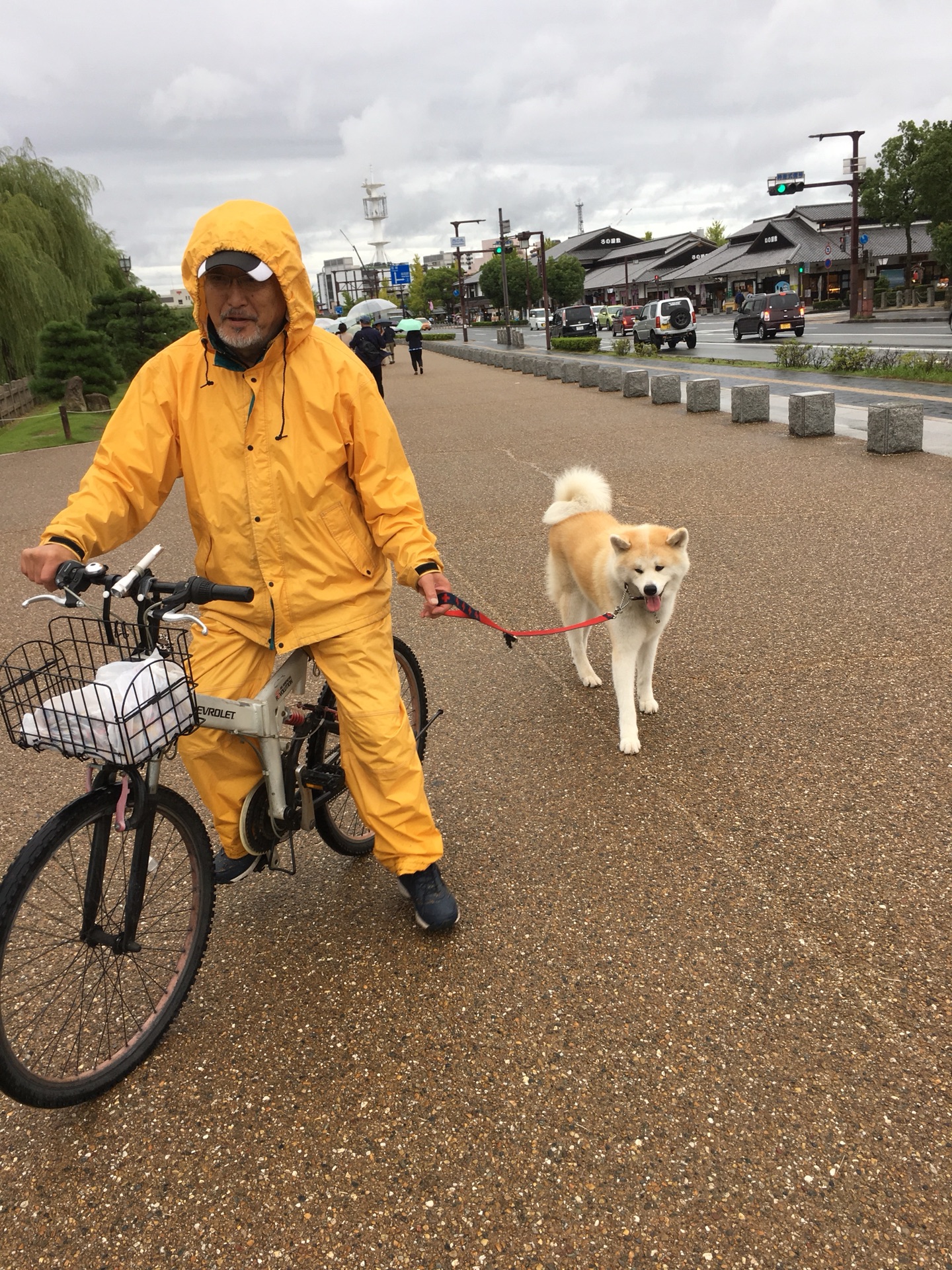 日本自助遊攻略