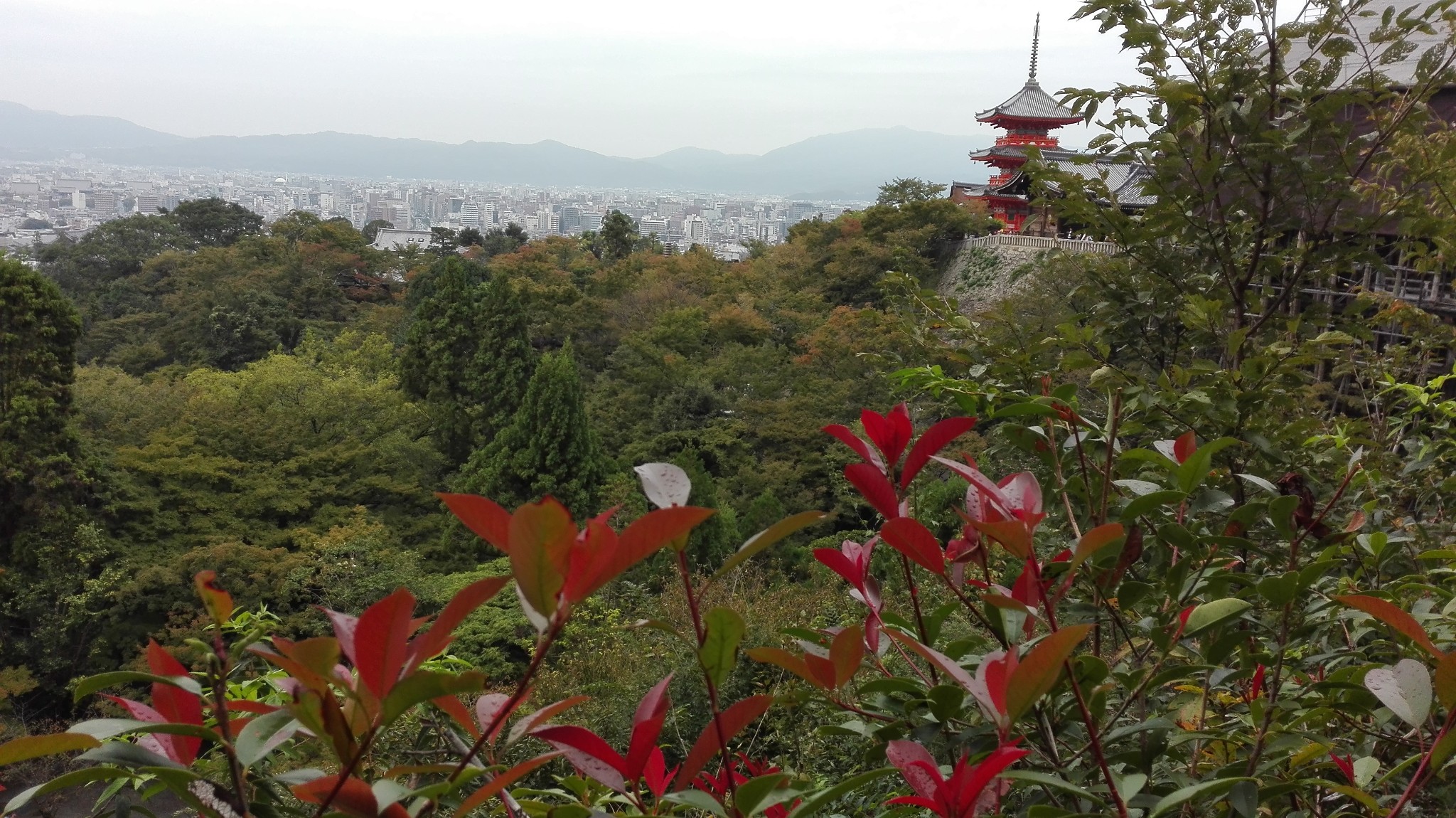 京都自助遊攻略