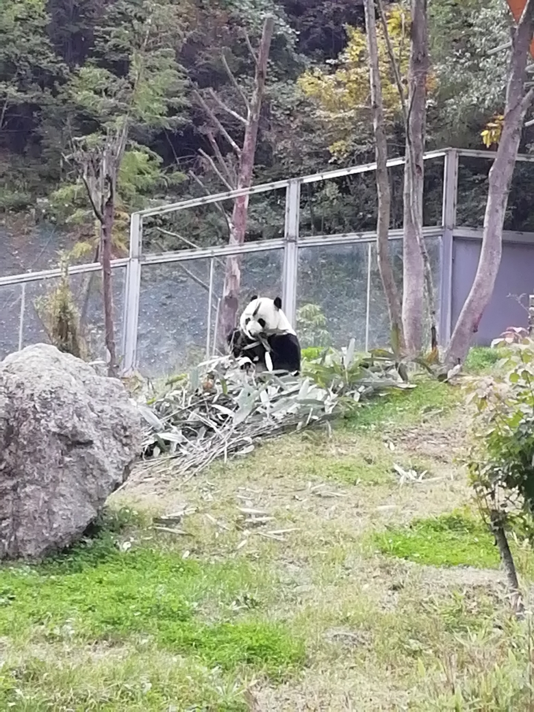 湖北自助遊攻略