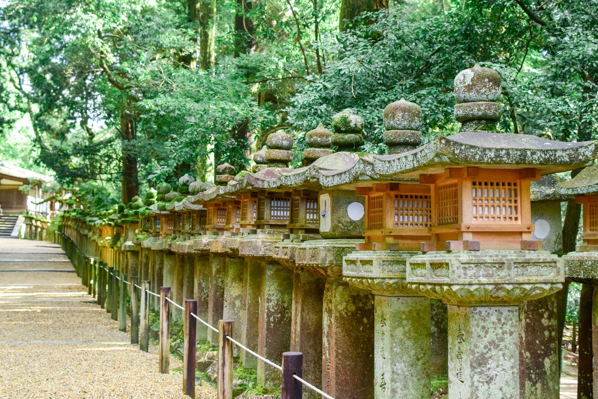 京都自助遊攻略