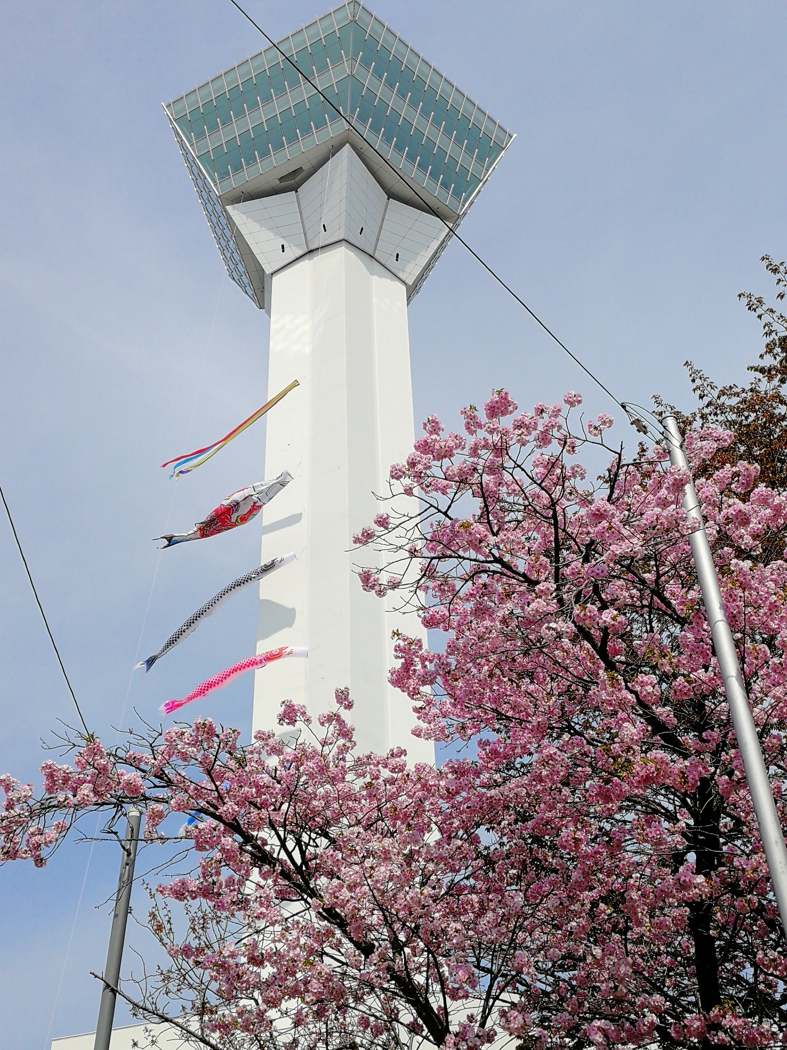 北海道自助遊攻略