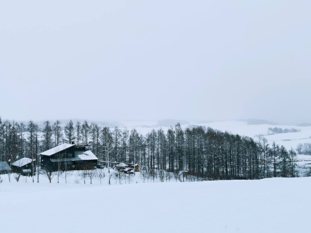 北海道自助遊攻略