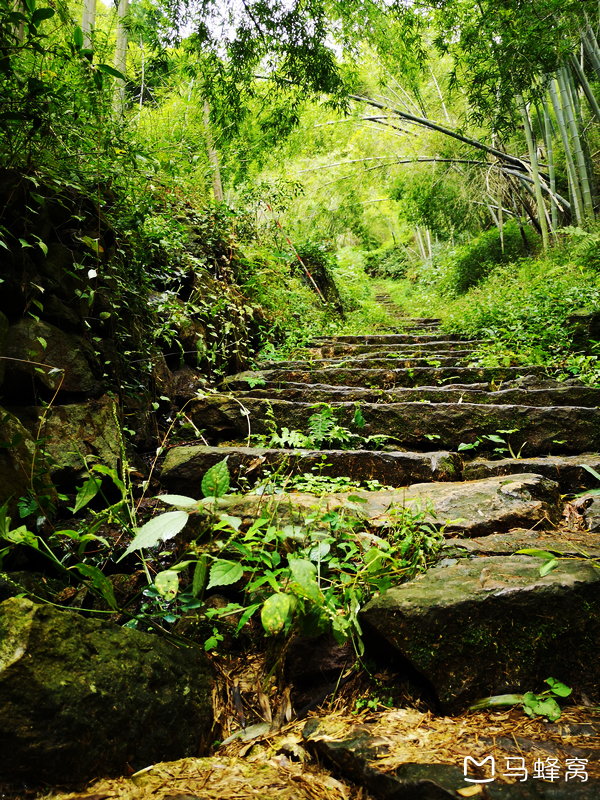 绍兴日铸岭古道,当"轻徒步"遇上国庆节!,绍兴自助游攻略_内蒙古旅游