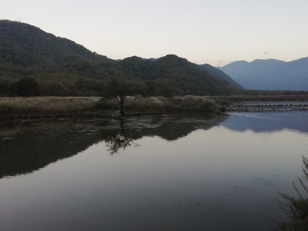 湖北自助遊攻略