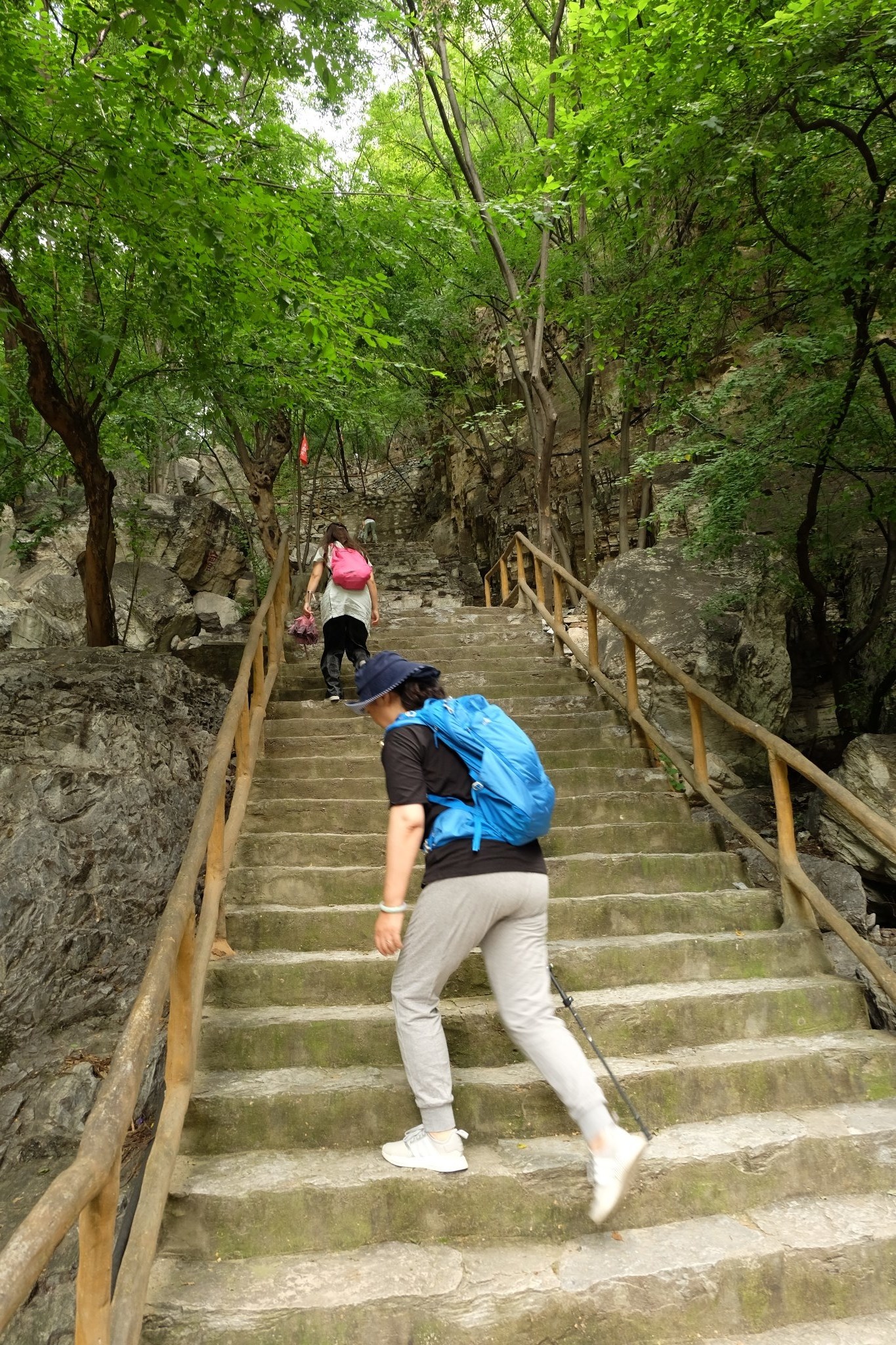 了遊記裡經常提到的雲梯上方山國家森林公園上方山國家森林公園挺陡的