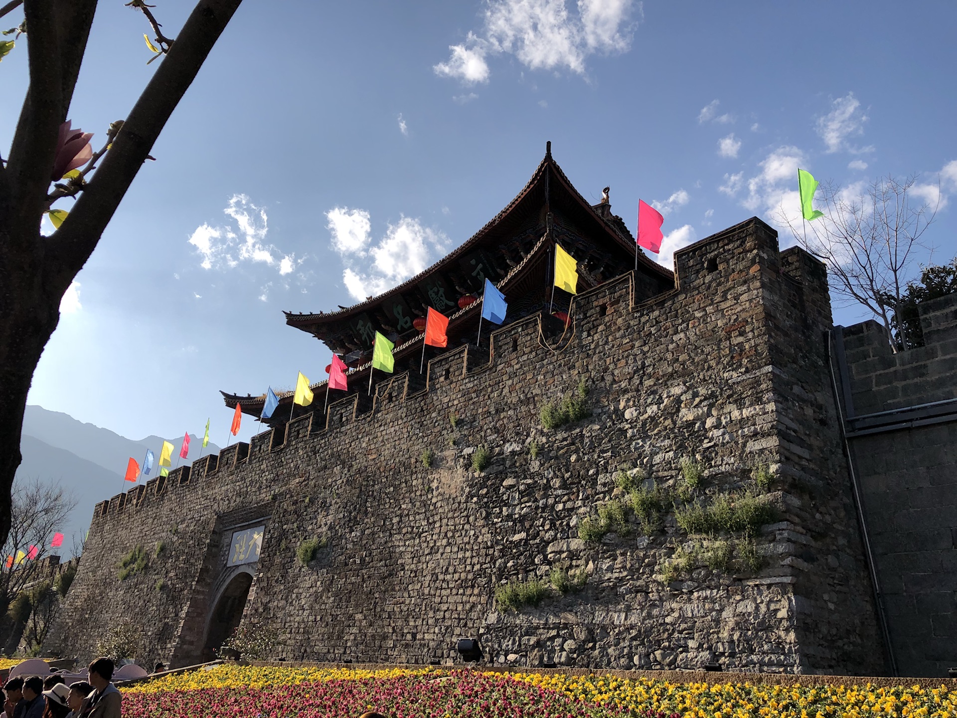 云南有多少人口2019_云南广南县人口多少