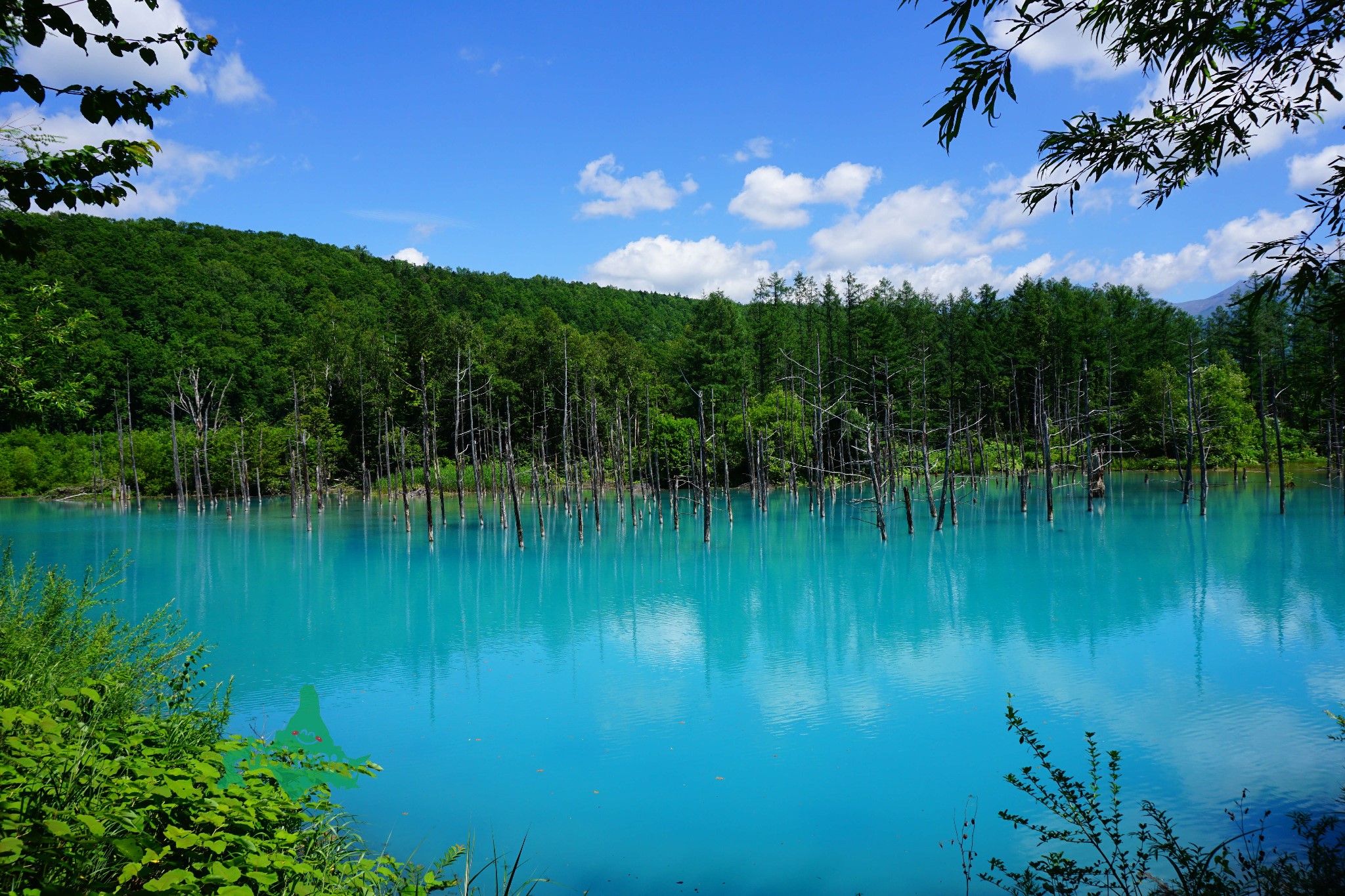 北海道自助遊攻略