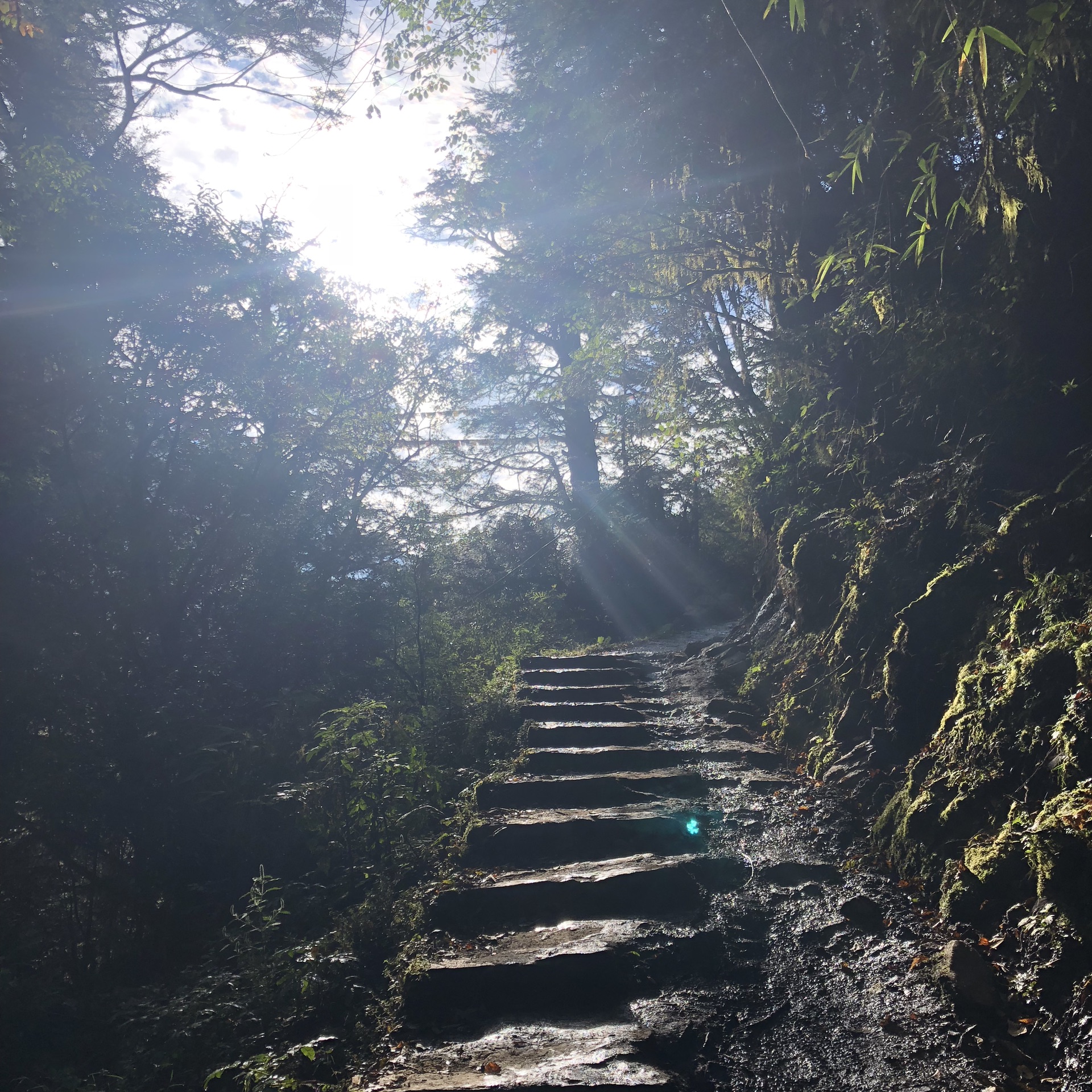 雨崩自助遊攻略