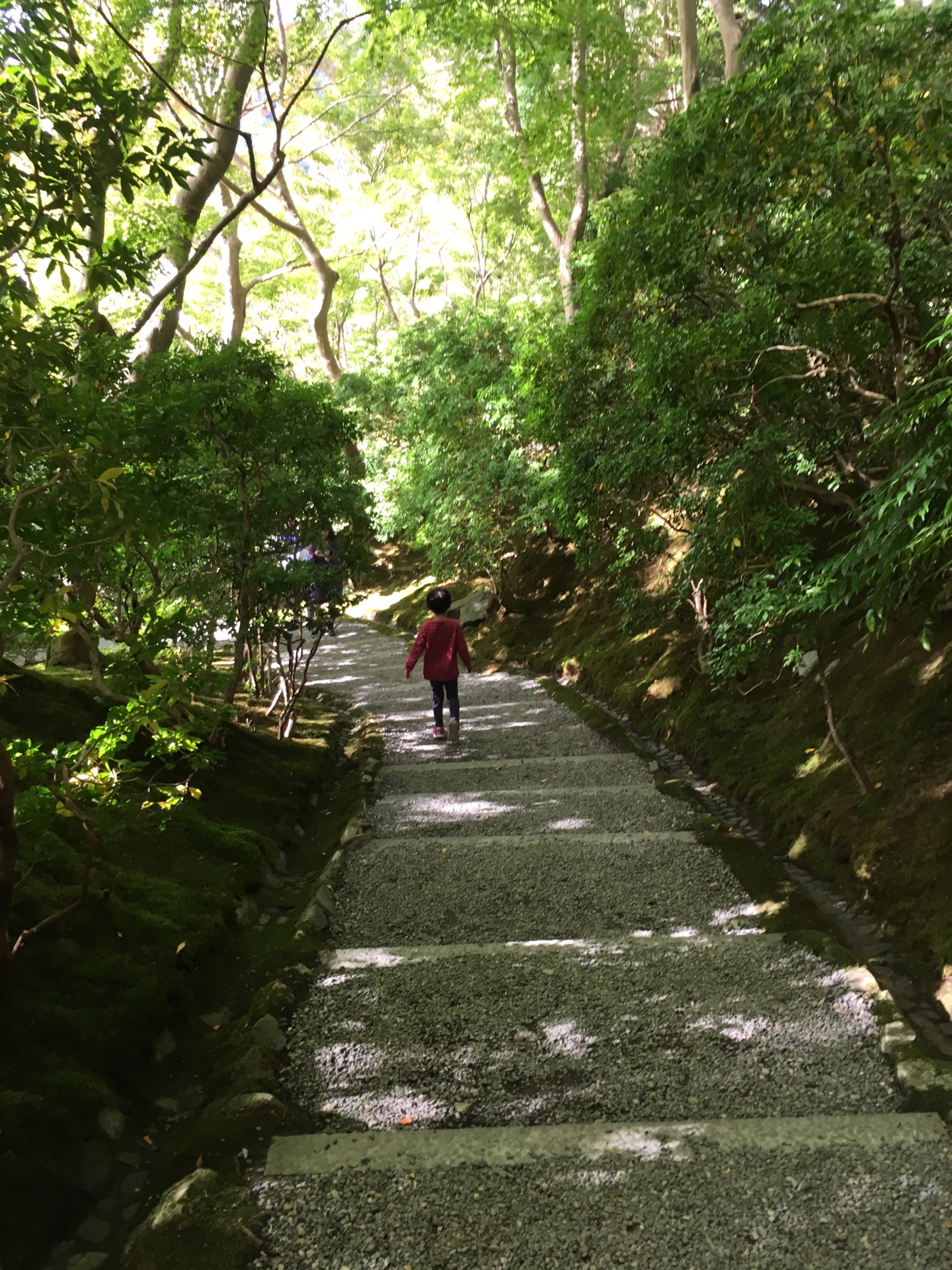 京都自助遊攻略