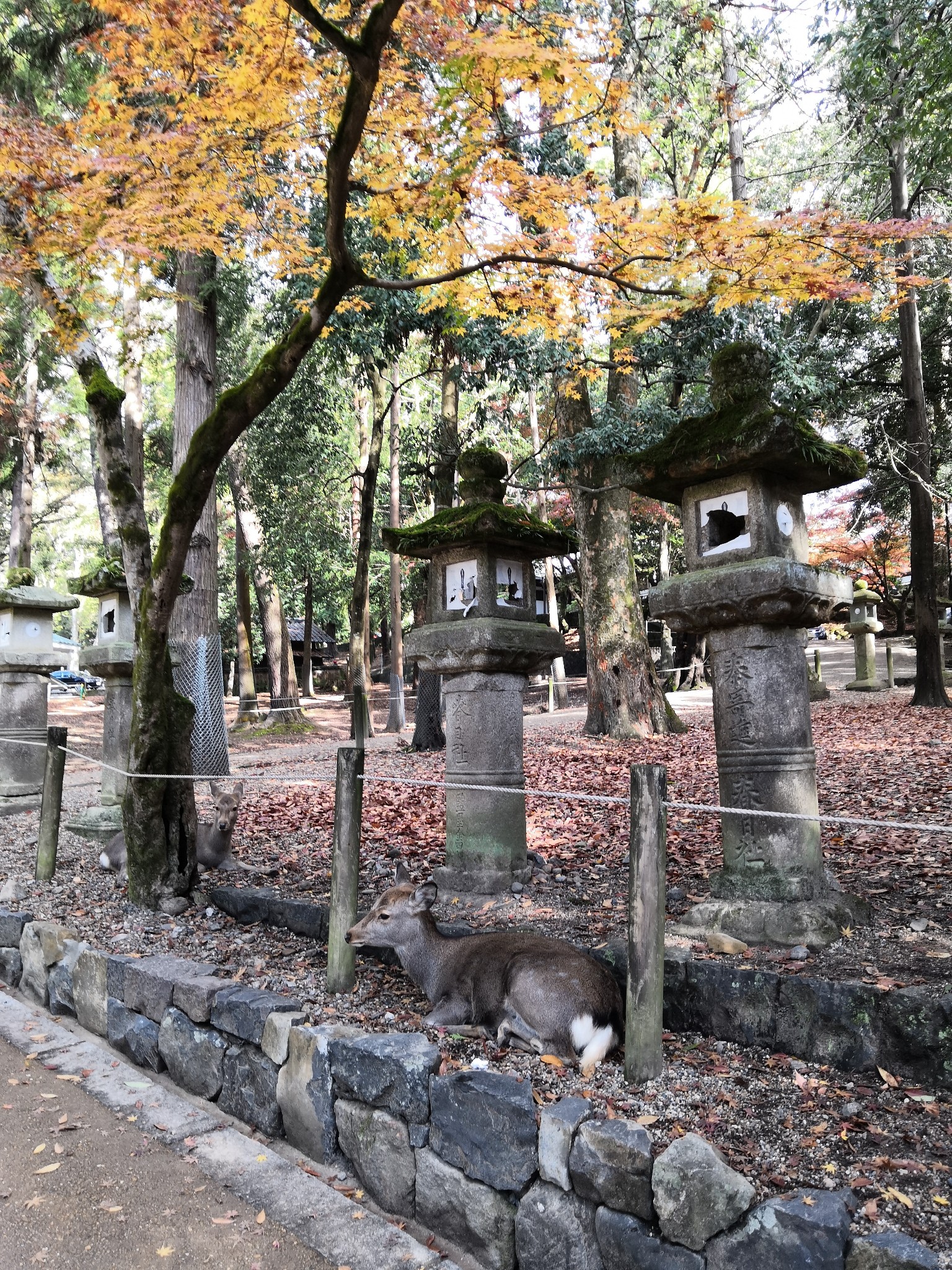 東京自助遊攻略