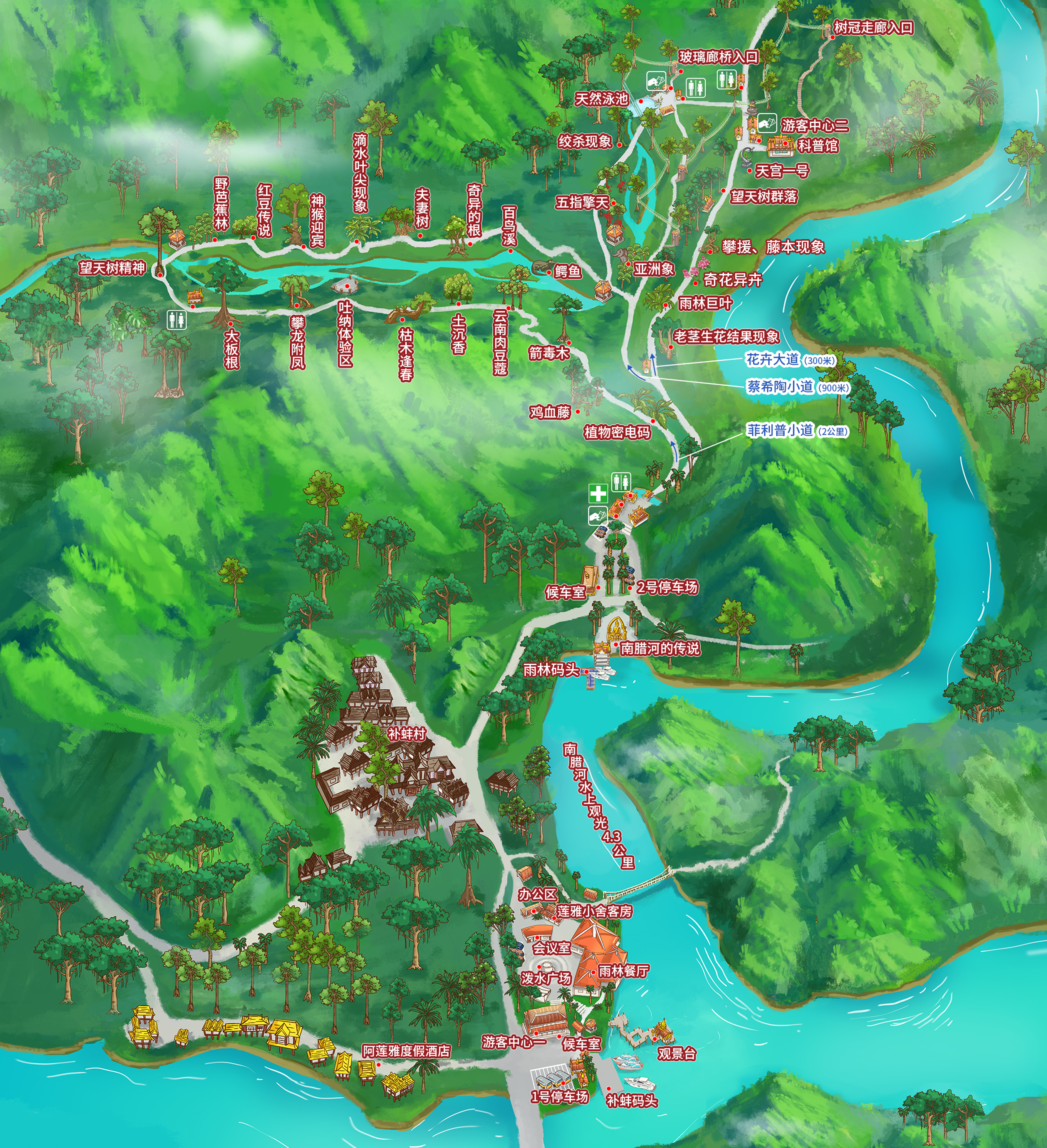 西双版纳望天树景区套票 空中走廊打卡抖腿 游船横穿原始