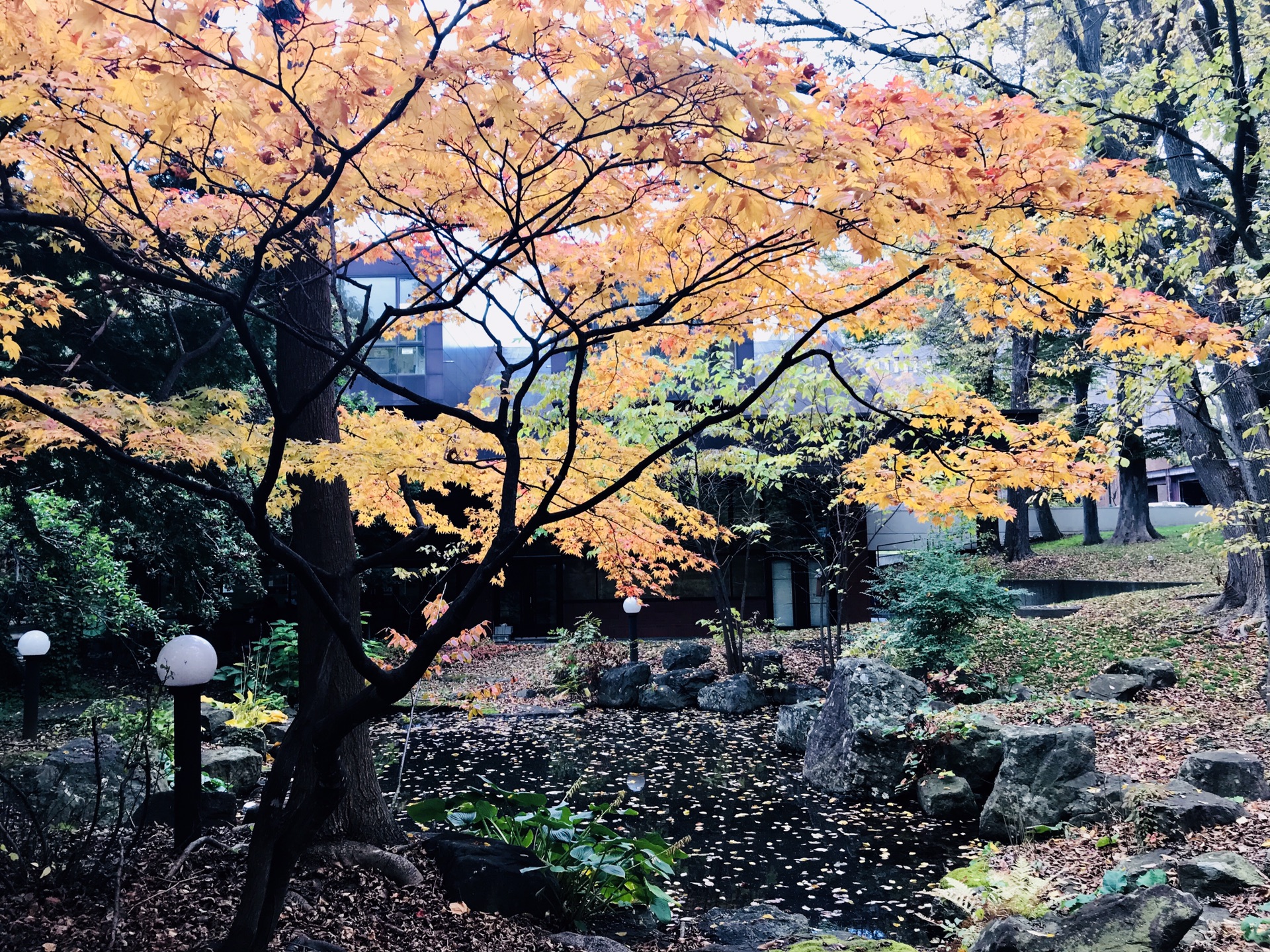 北海道自助遊攻略