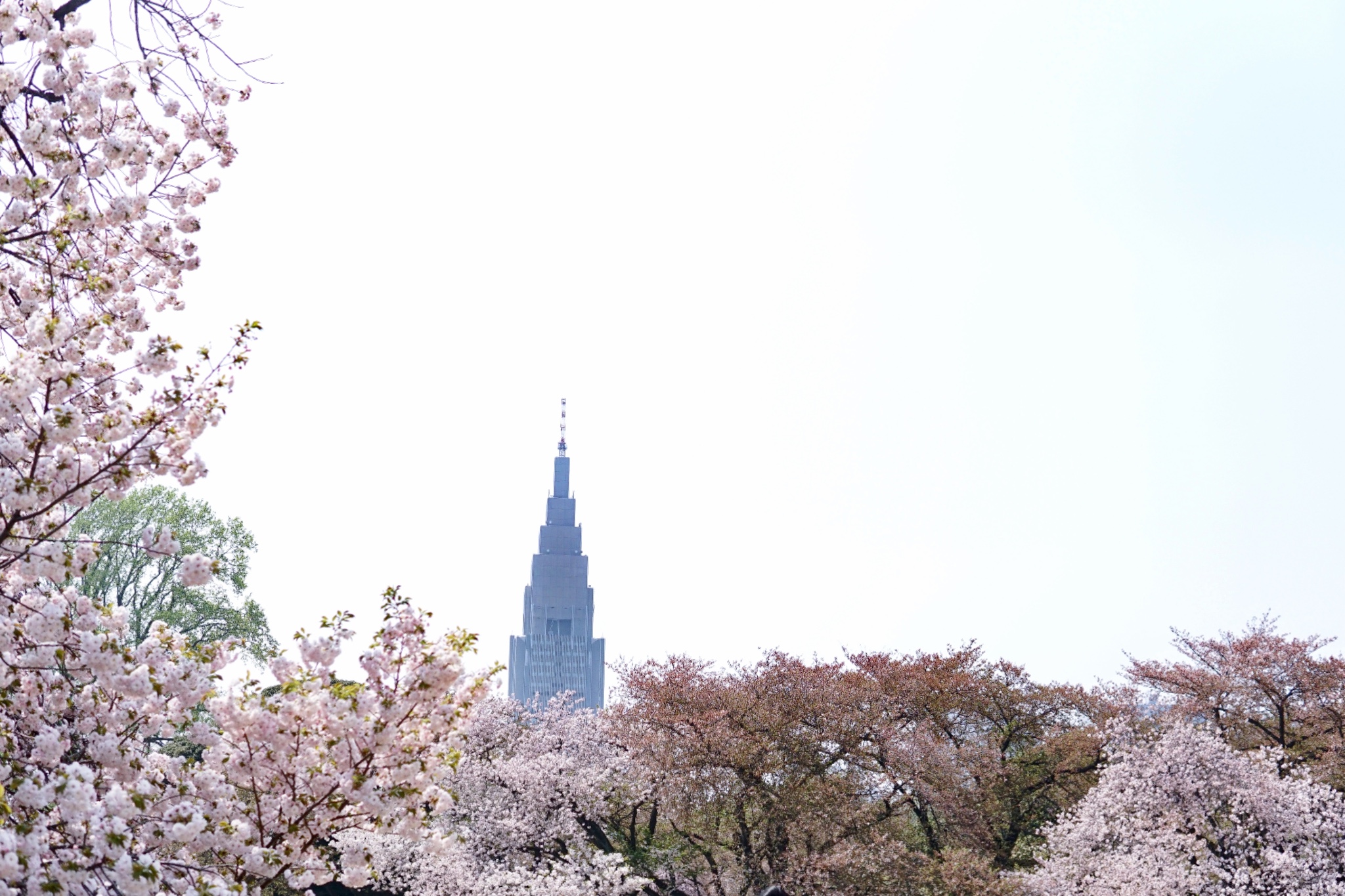 東京自助遊攻略