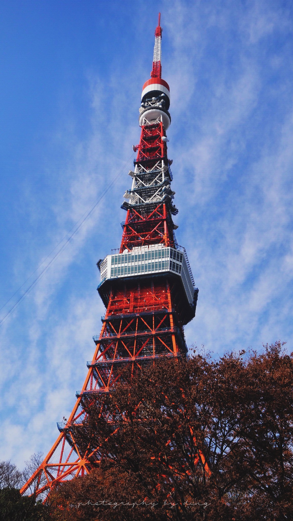 季(新仓山浅间公园河口湖富士山六本木之丘豪德寺镰仓浅草寺)图片517