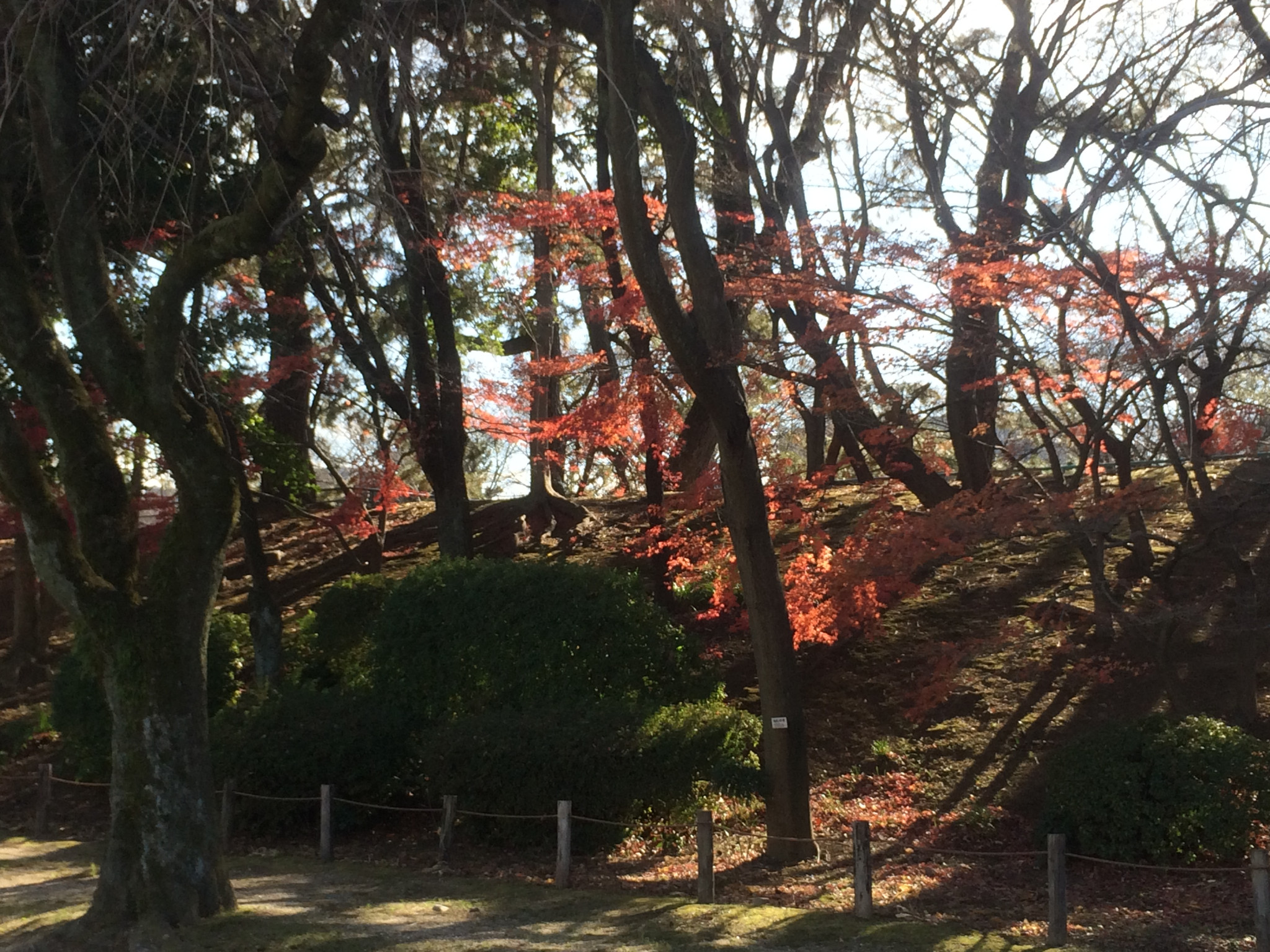 名古屋自助遊攻略