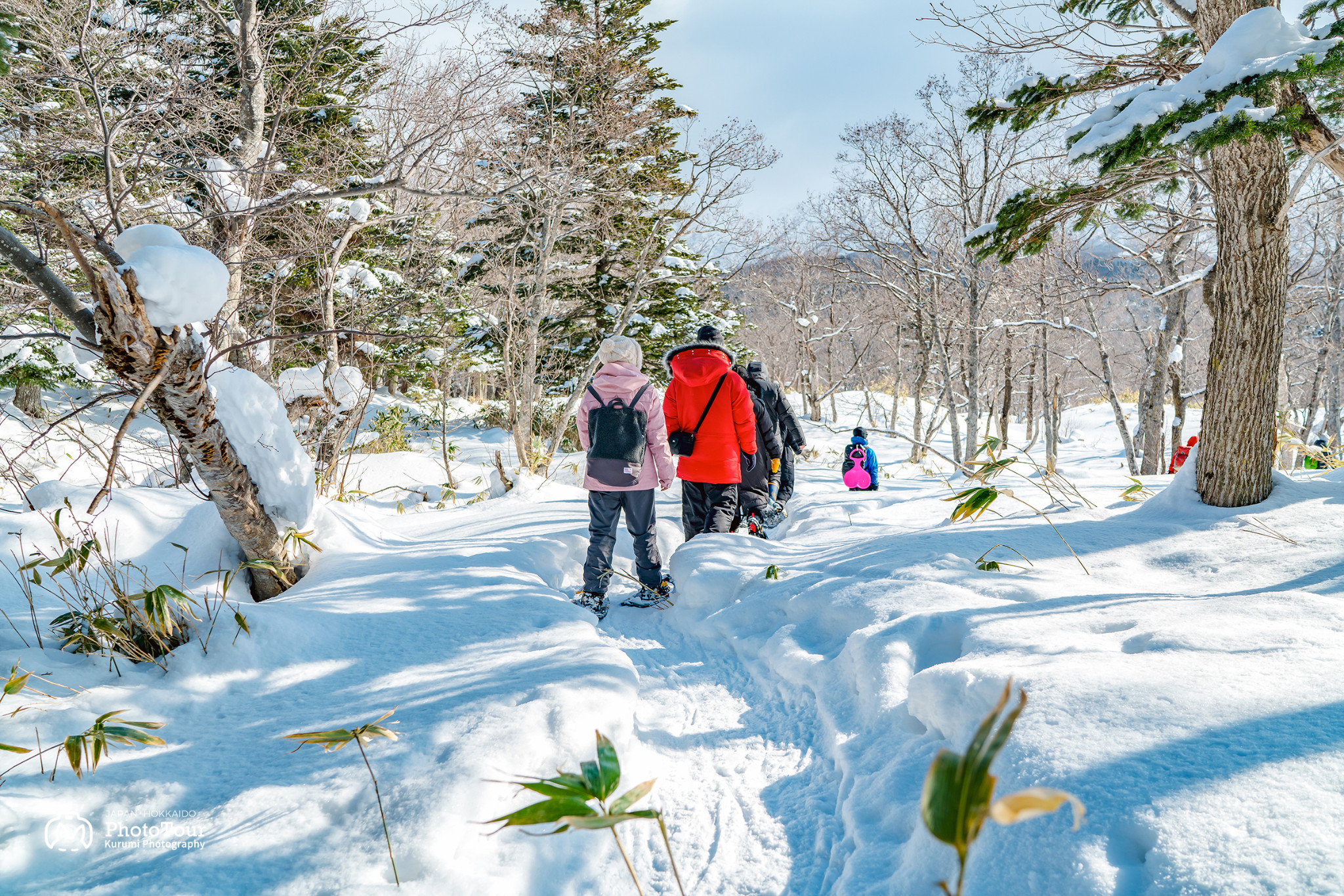 北海道自助遊攻略