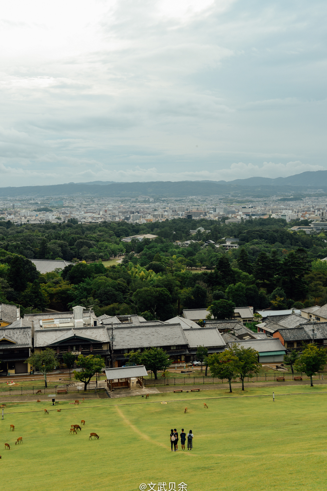 奈良自助遊攻略