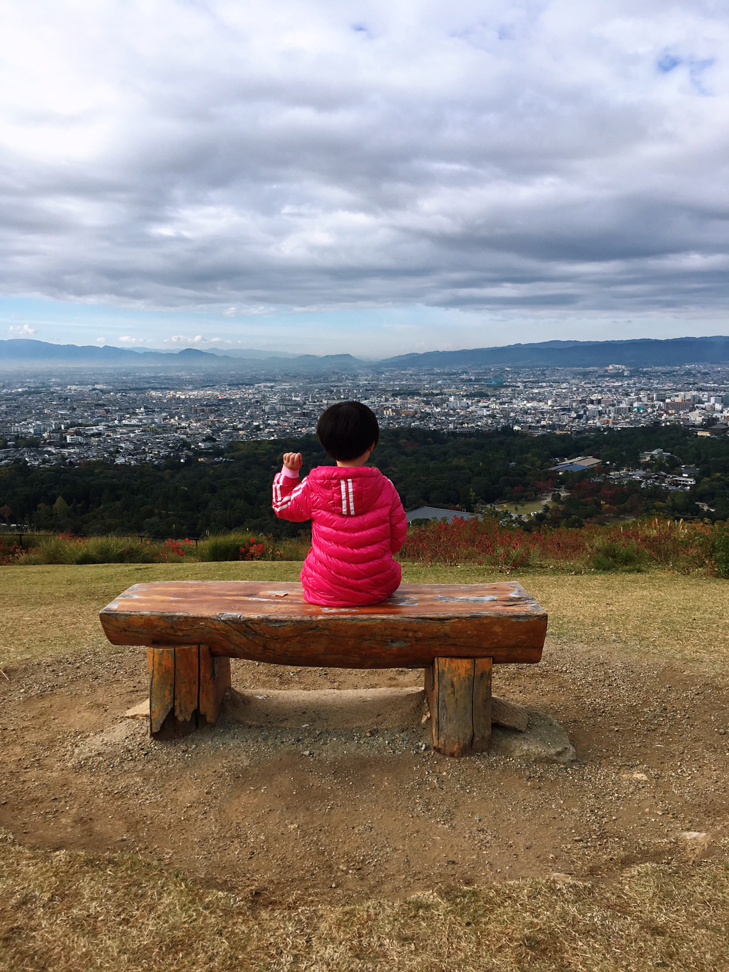 京都自助遊攻略