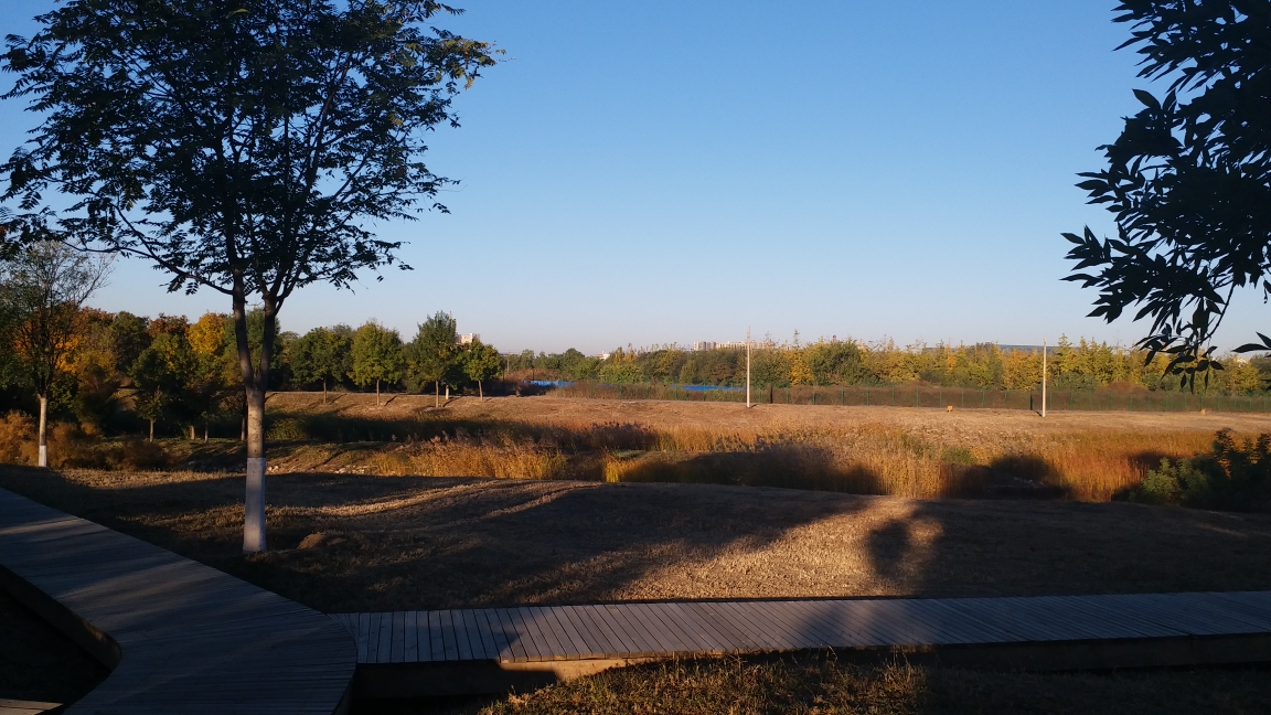 10.23北京78东石公园78游记--北京游记--马蜂窝