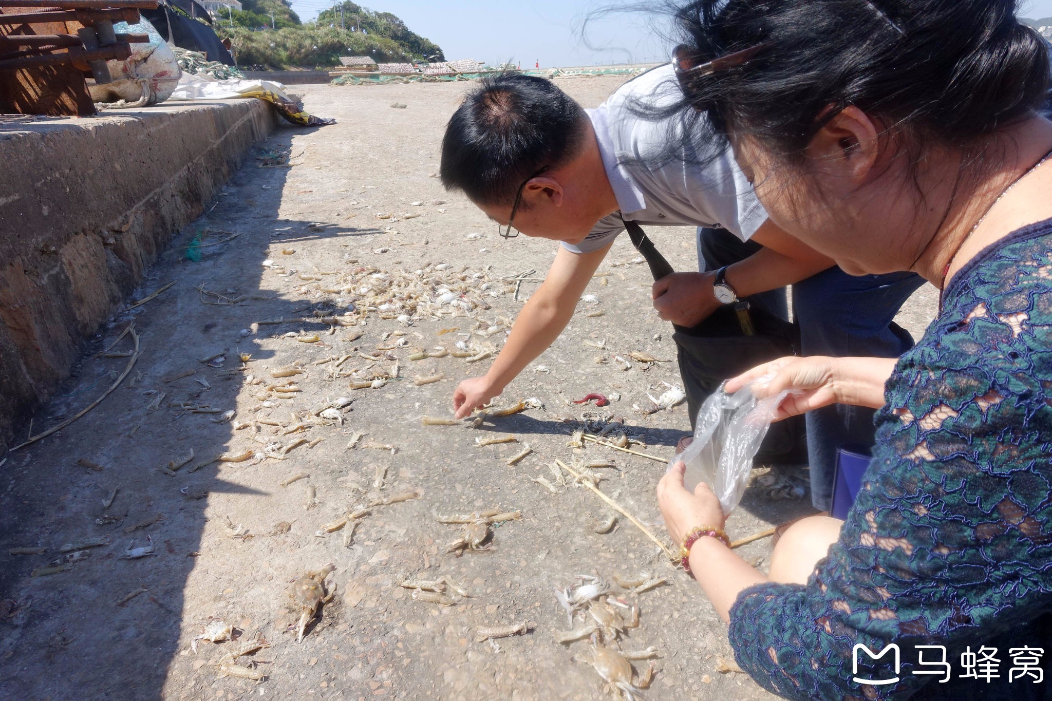 浙江自助遊攻略