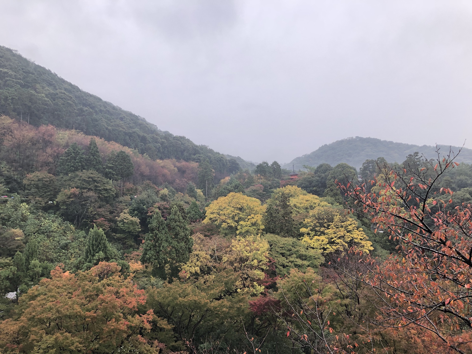 京都自助遊攻略