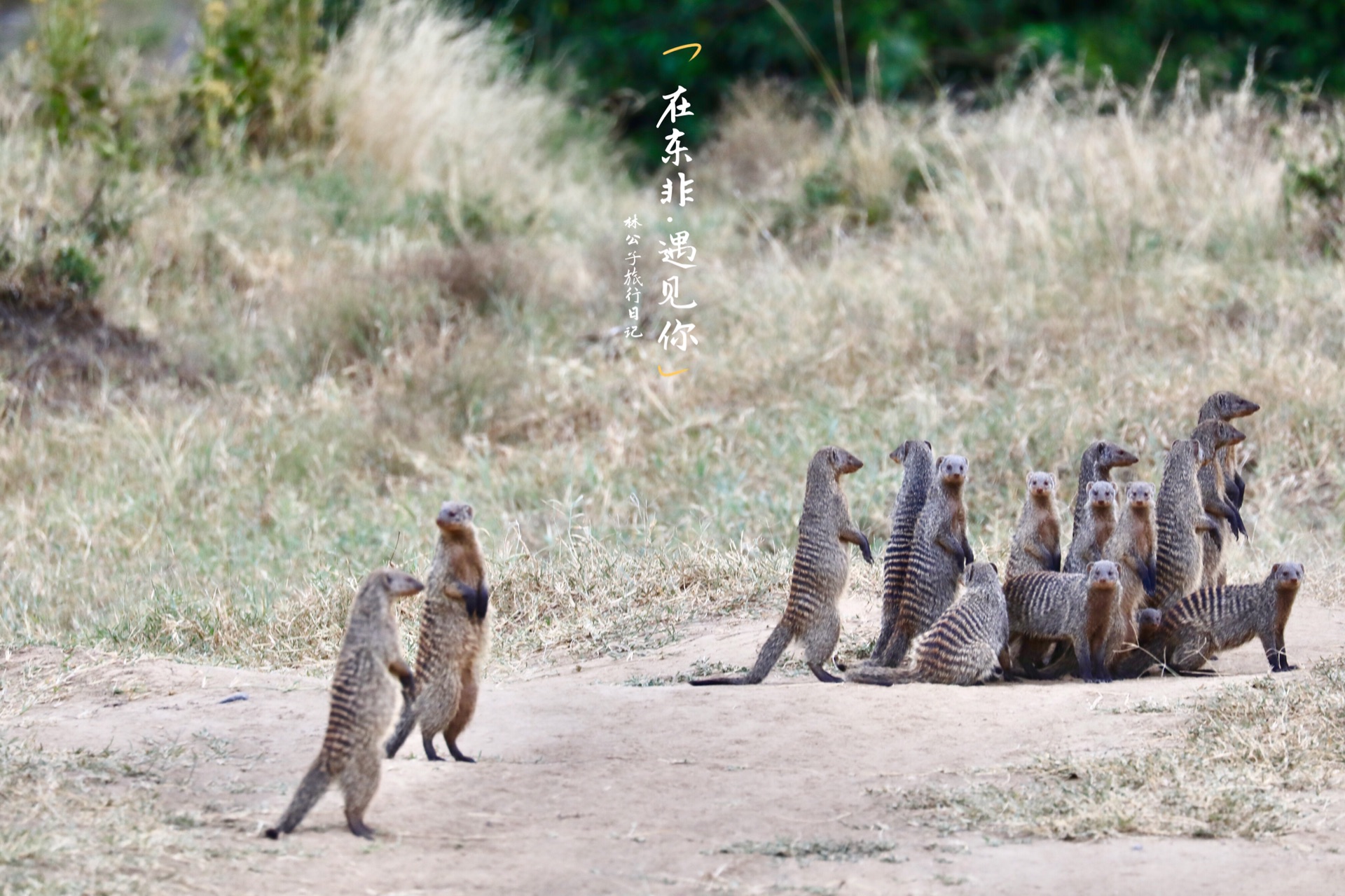 非洲自助遊攻略