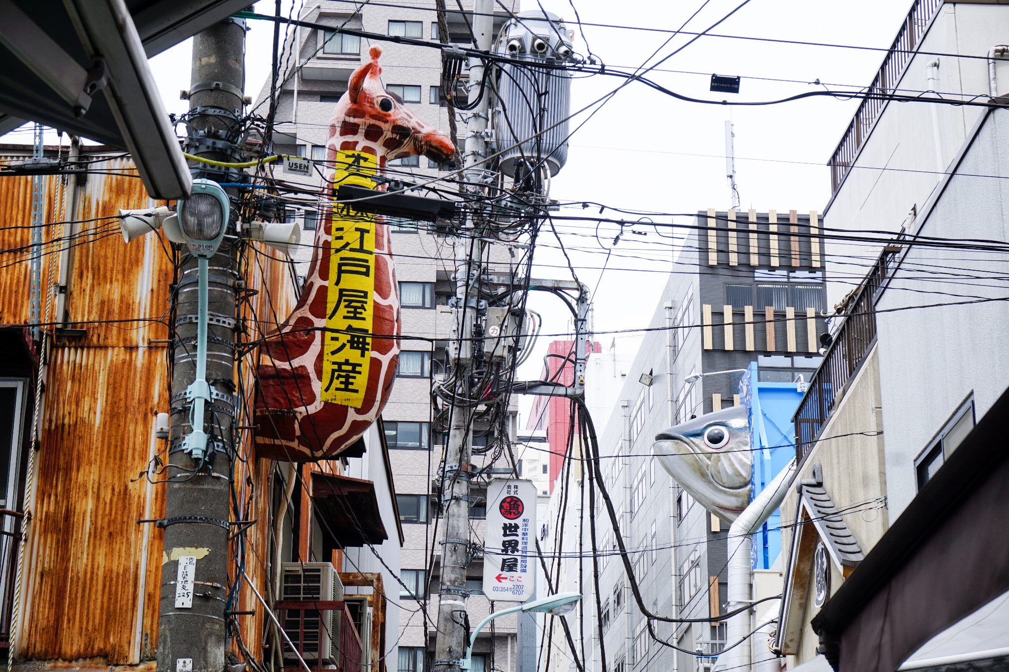 東京自助遊攻略