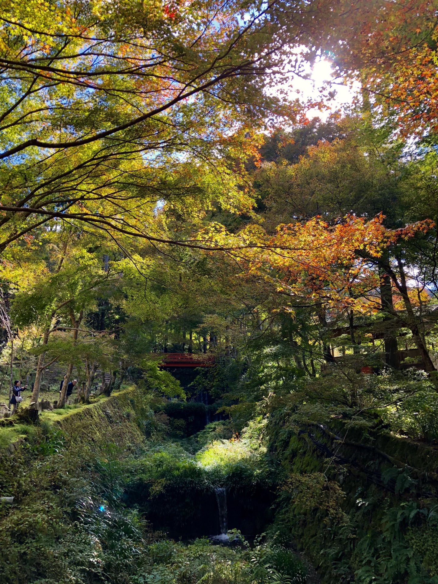 京都自助遊攻略