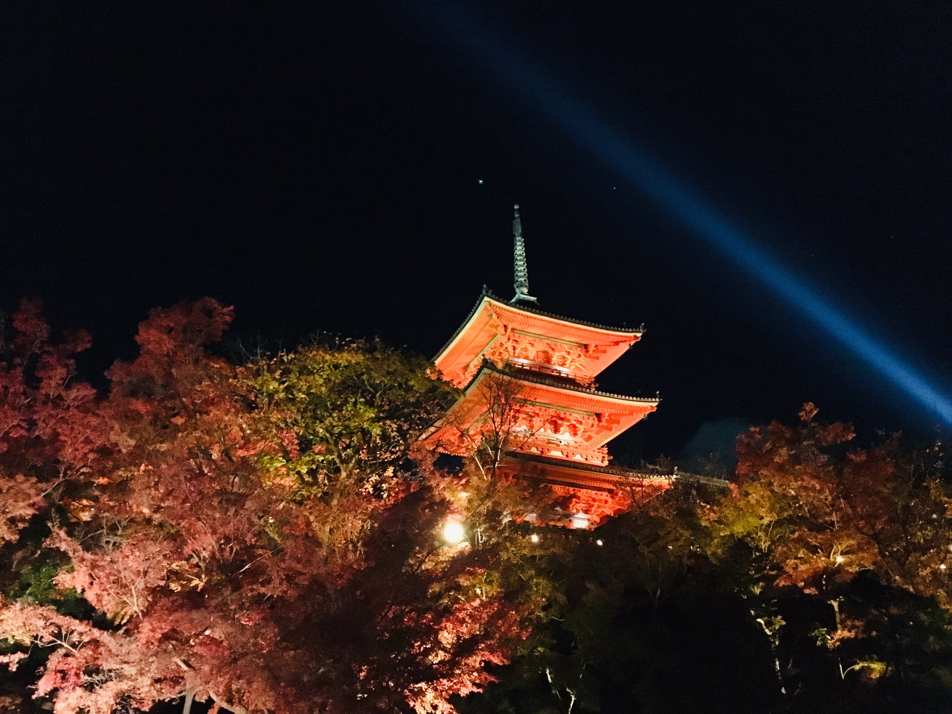 京都自助遊攻略