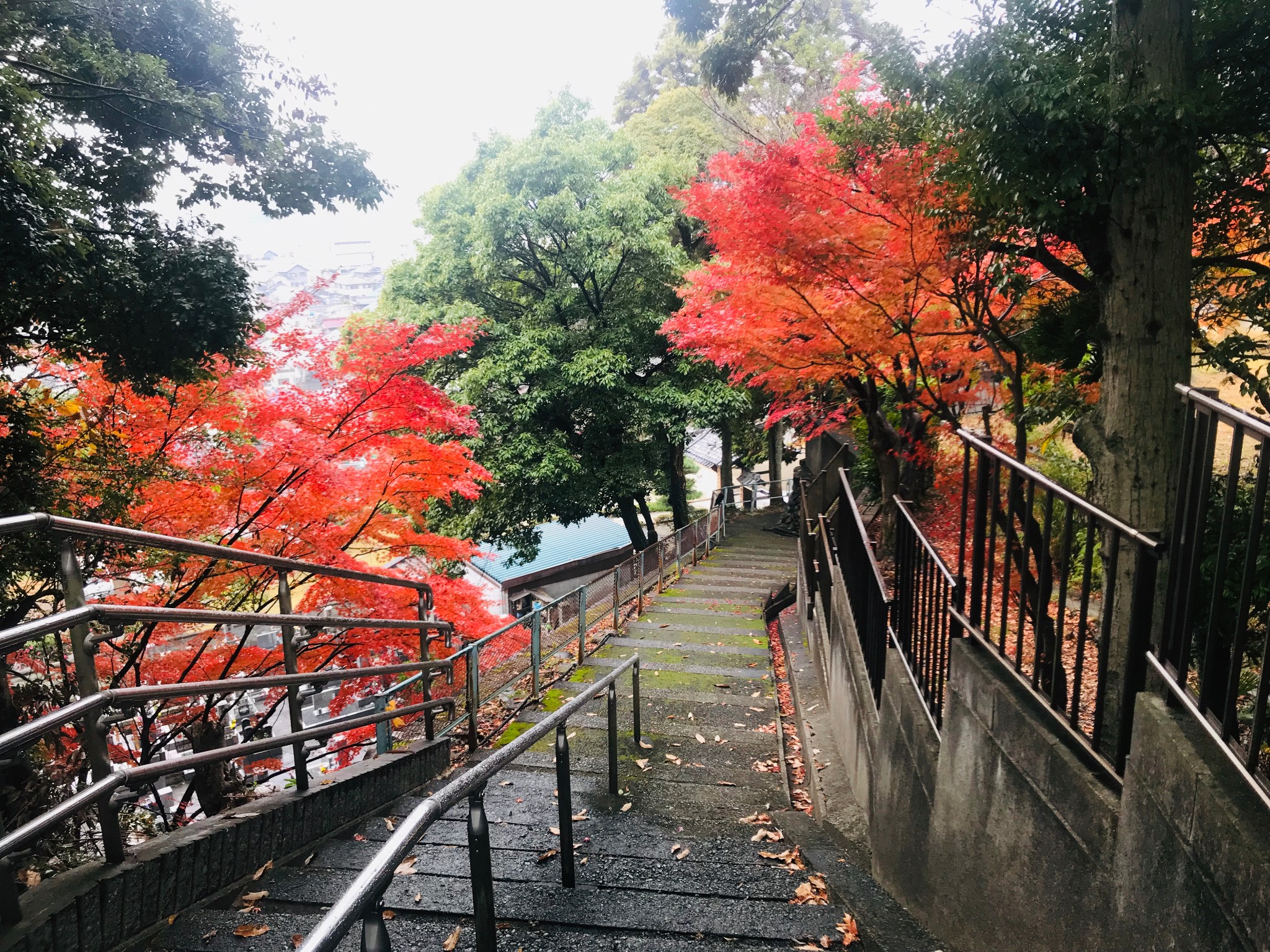 名古屋自助遊攻略