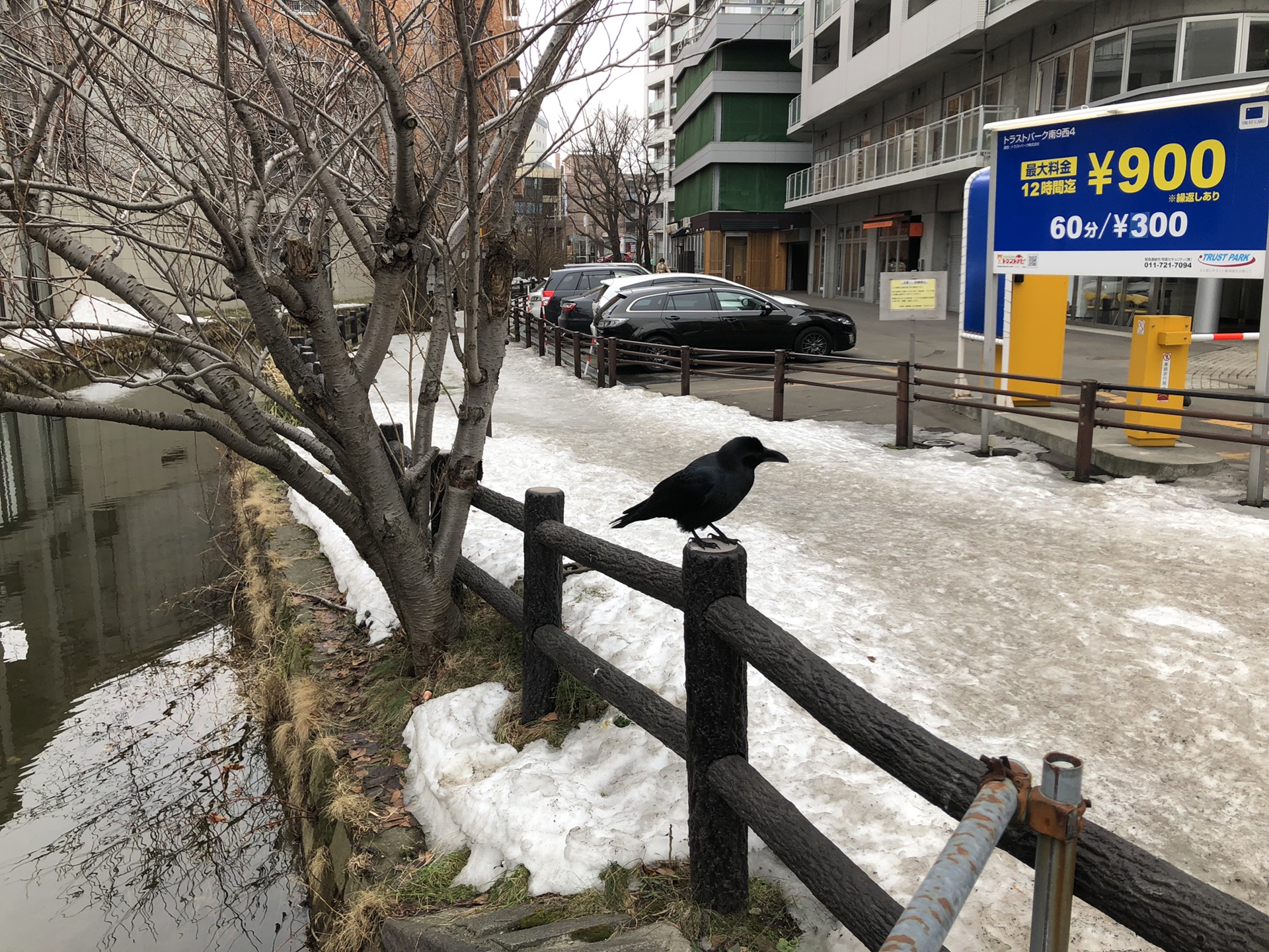 札幌自助遊攻略