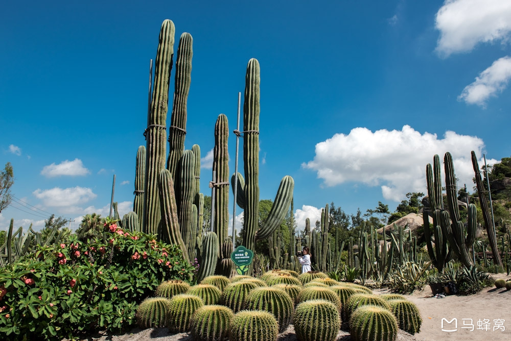 厦门万石植物园具体怎么安排玩合适呢?=== 植物园园区内有观光车,行车