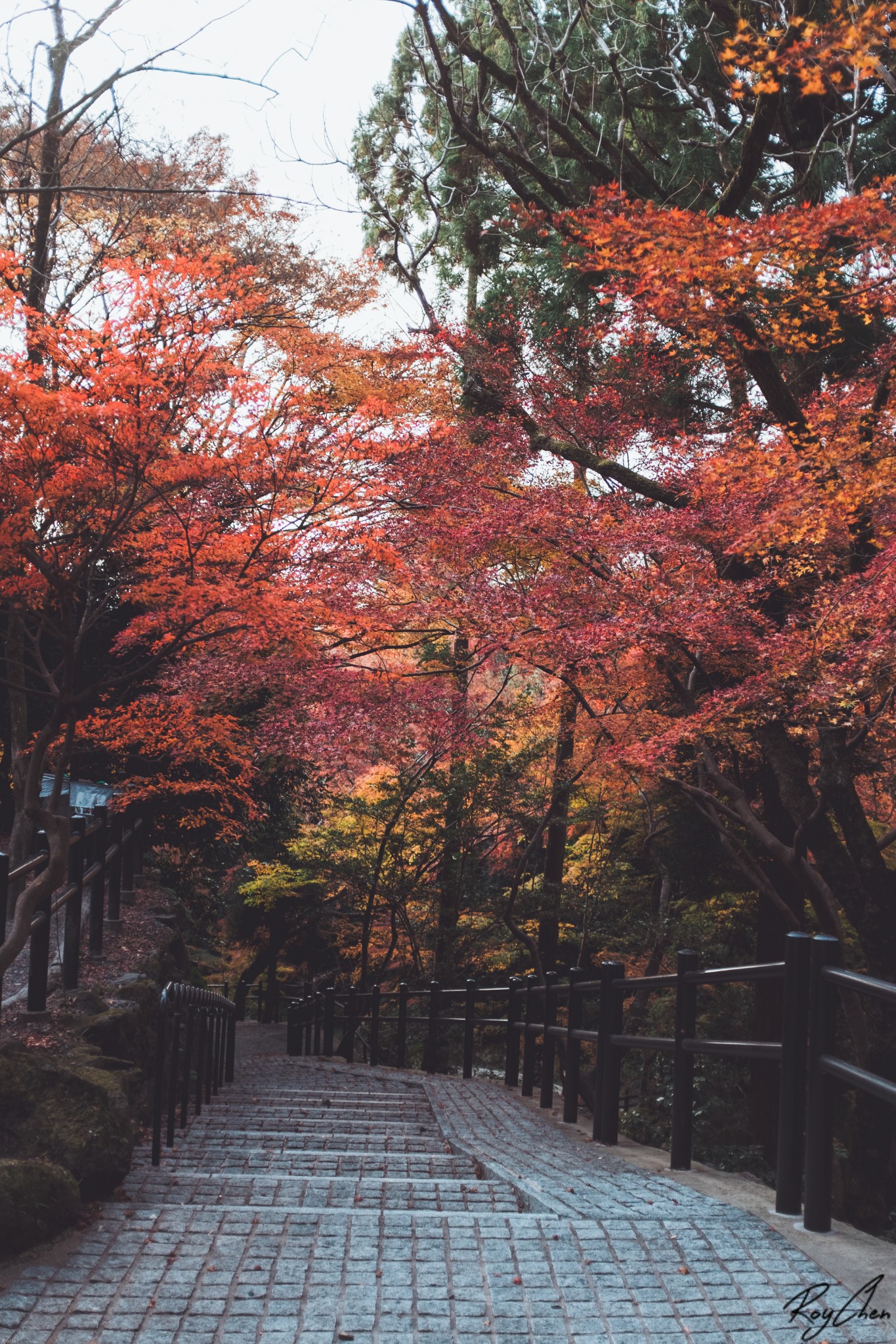 京都自助遊攻略