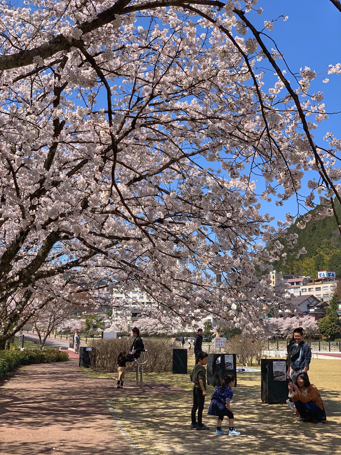 名古屋自助遊攻略