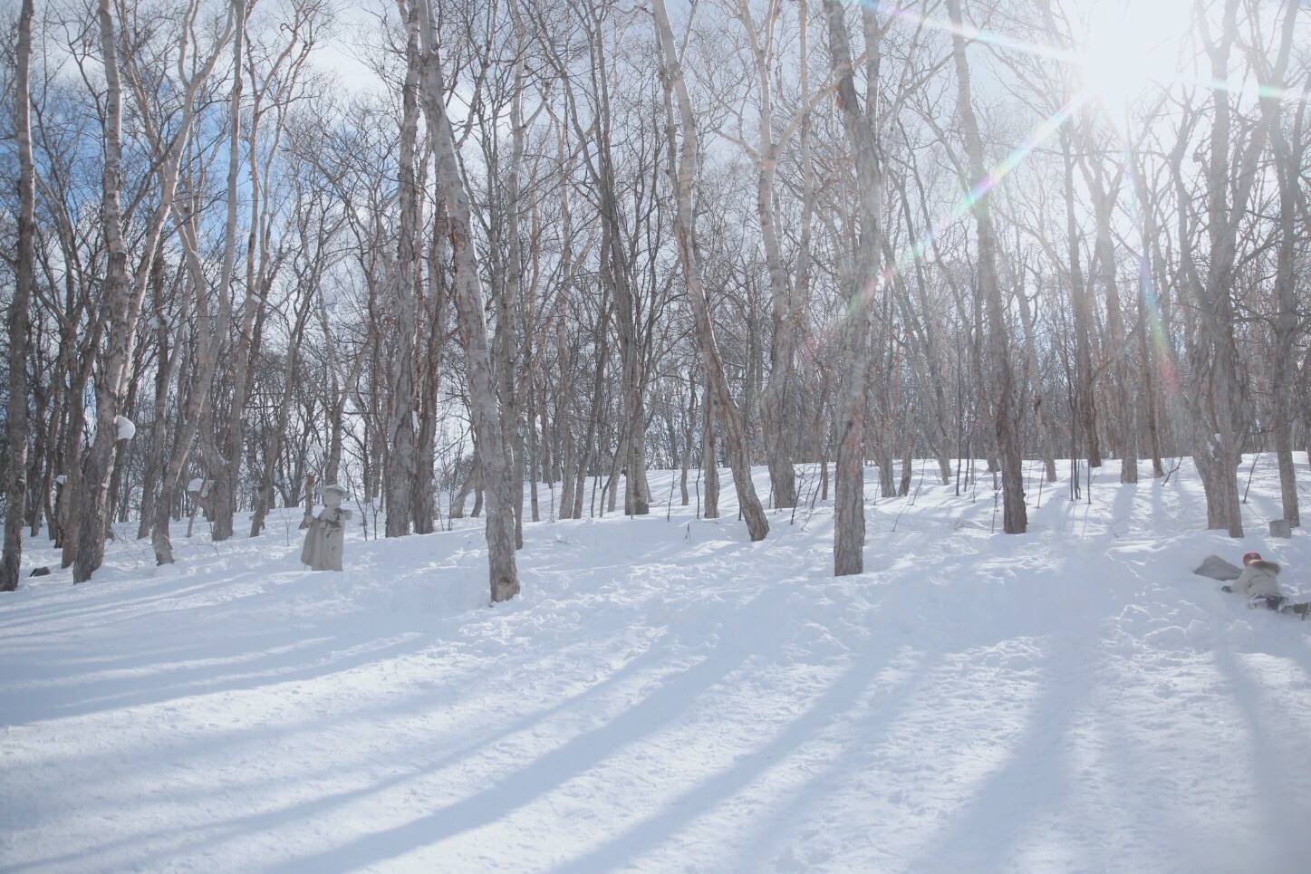 北海道自助遊攻略