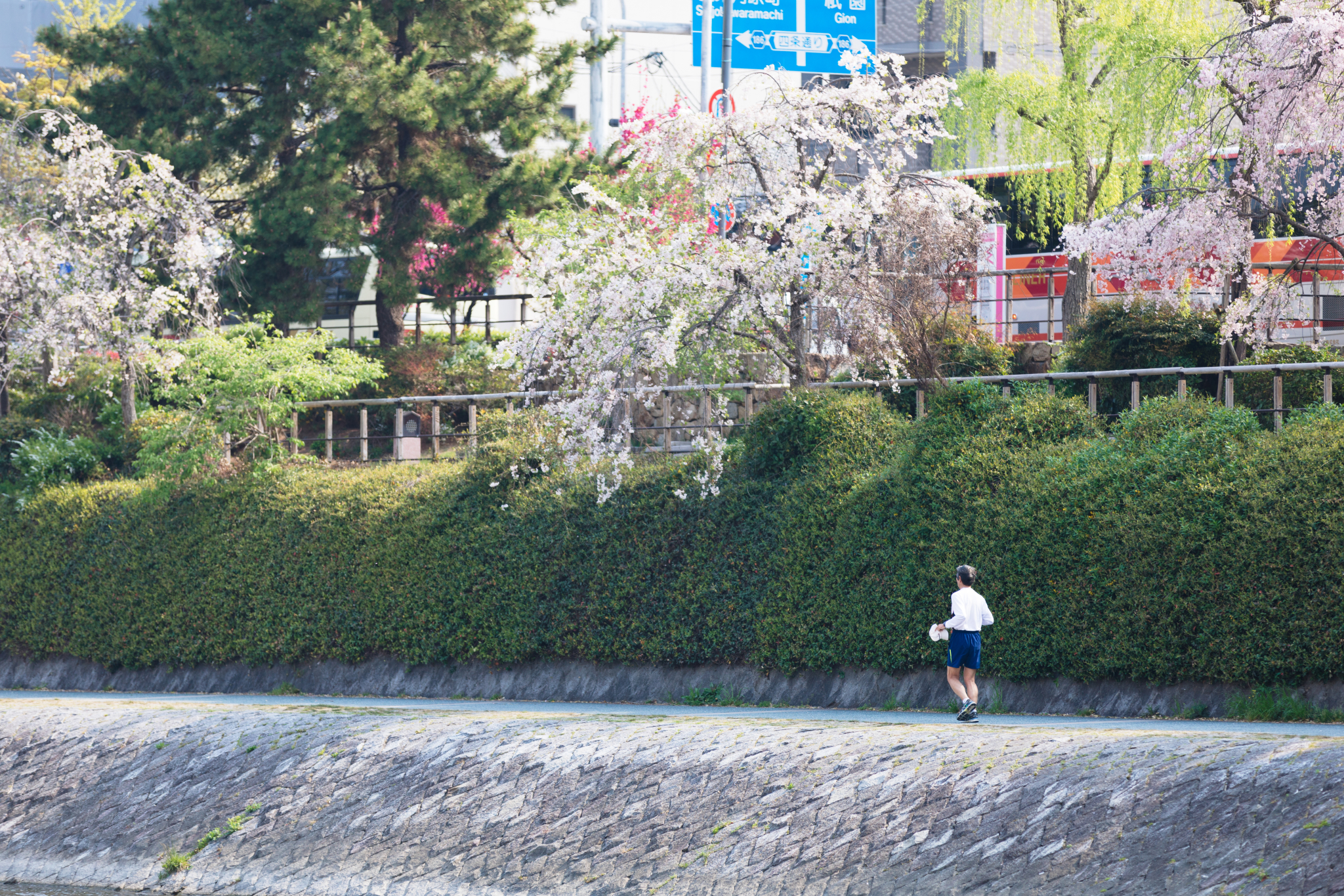 東京自助遊攻略