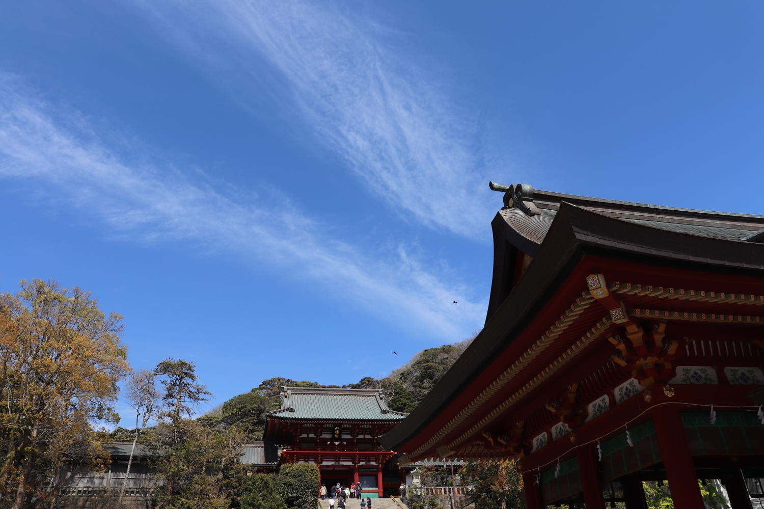 東京自助遊攻略